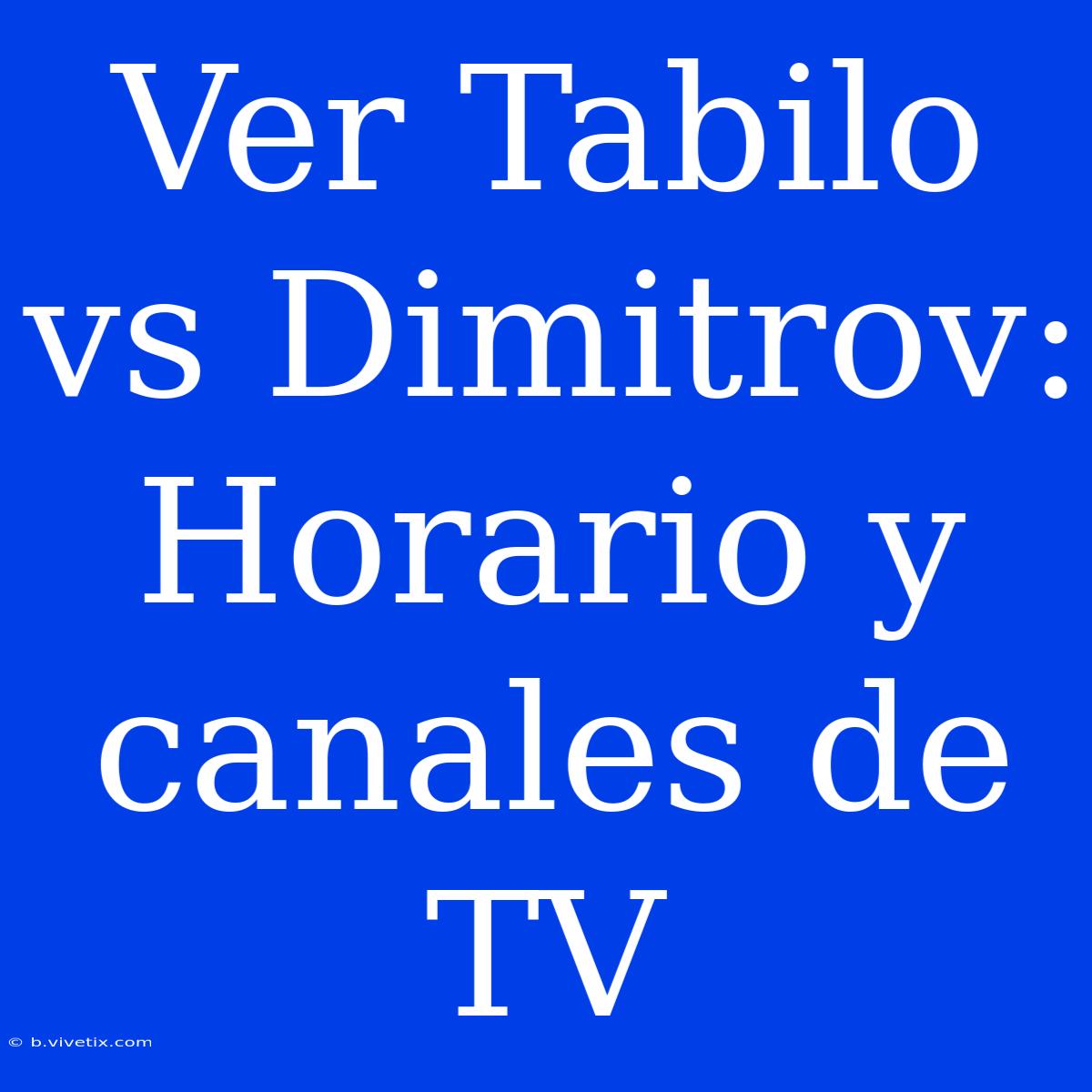 Ver Tabilo Vs Dimitrov: Horario Y Canales De TV