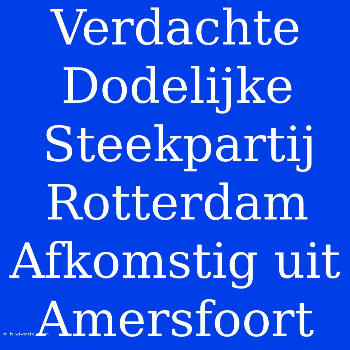 Verdachte Dodelijke Steekpartij Rotterdam Afkomstig Uit Amersfoort