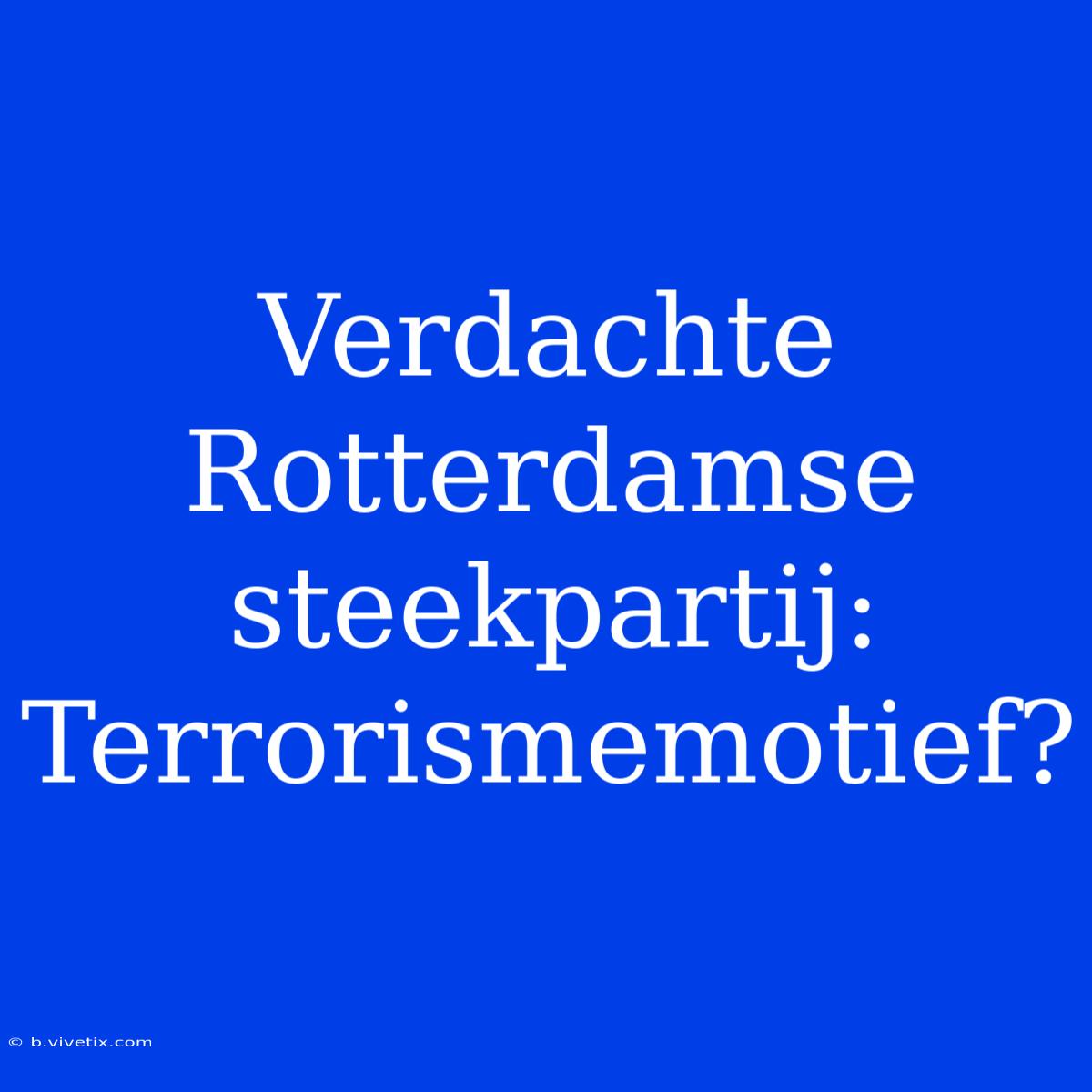 Verdachte Rotterdamse Steekpartij: Terrorismemotief?