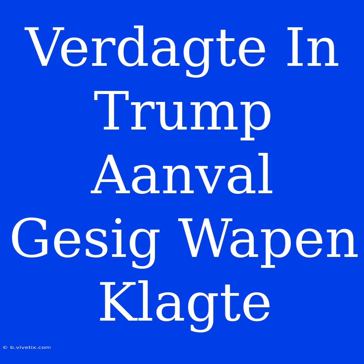 Verdagte In Trump Aanval Gesig Wapen Klagte