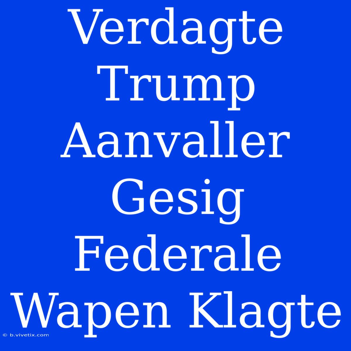 Verdagte Trump Aanvaller Gesig Federale Wapen Klagte