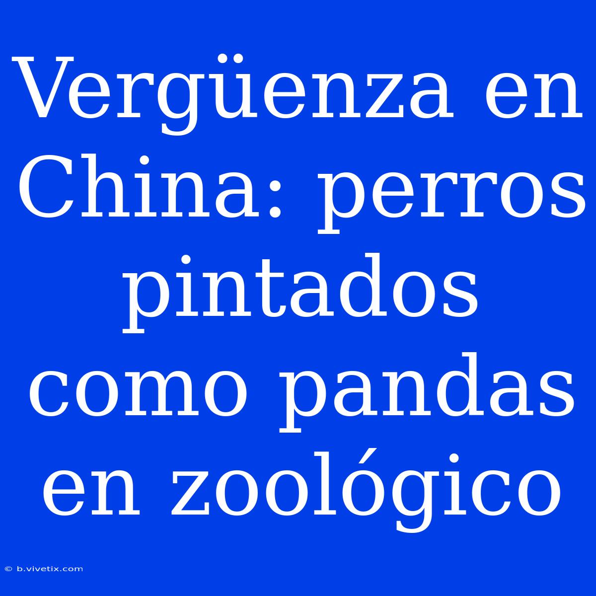 Vergüenza En China: Perros Pintados Como Pandas En Zoológico