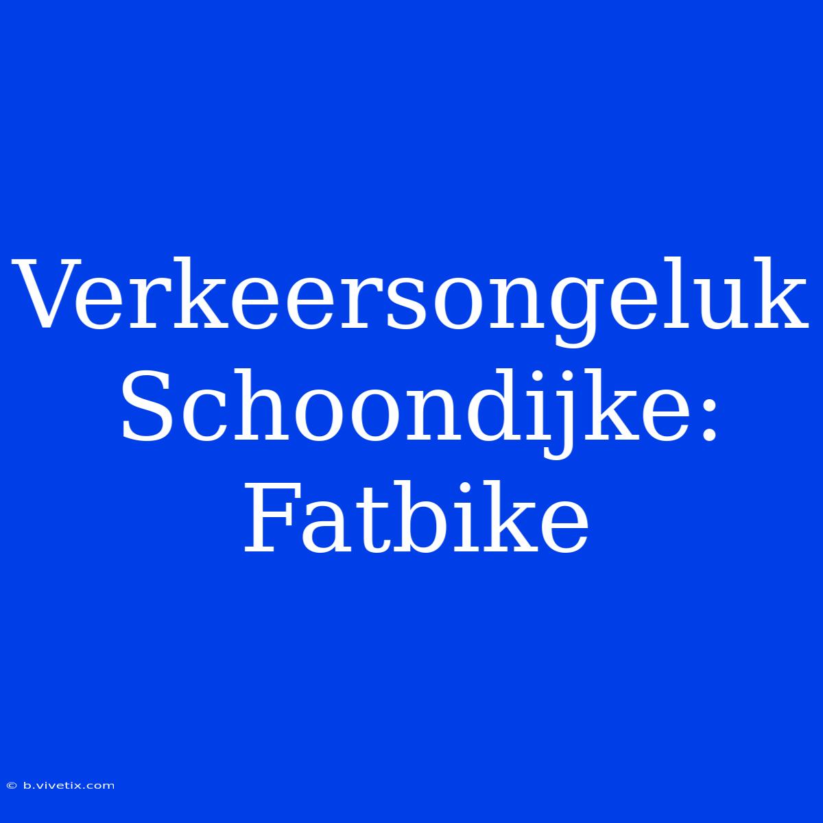 Verkeersongeluk Schoondijke: Fatbike