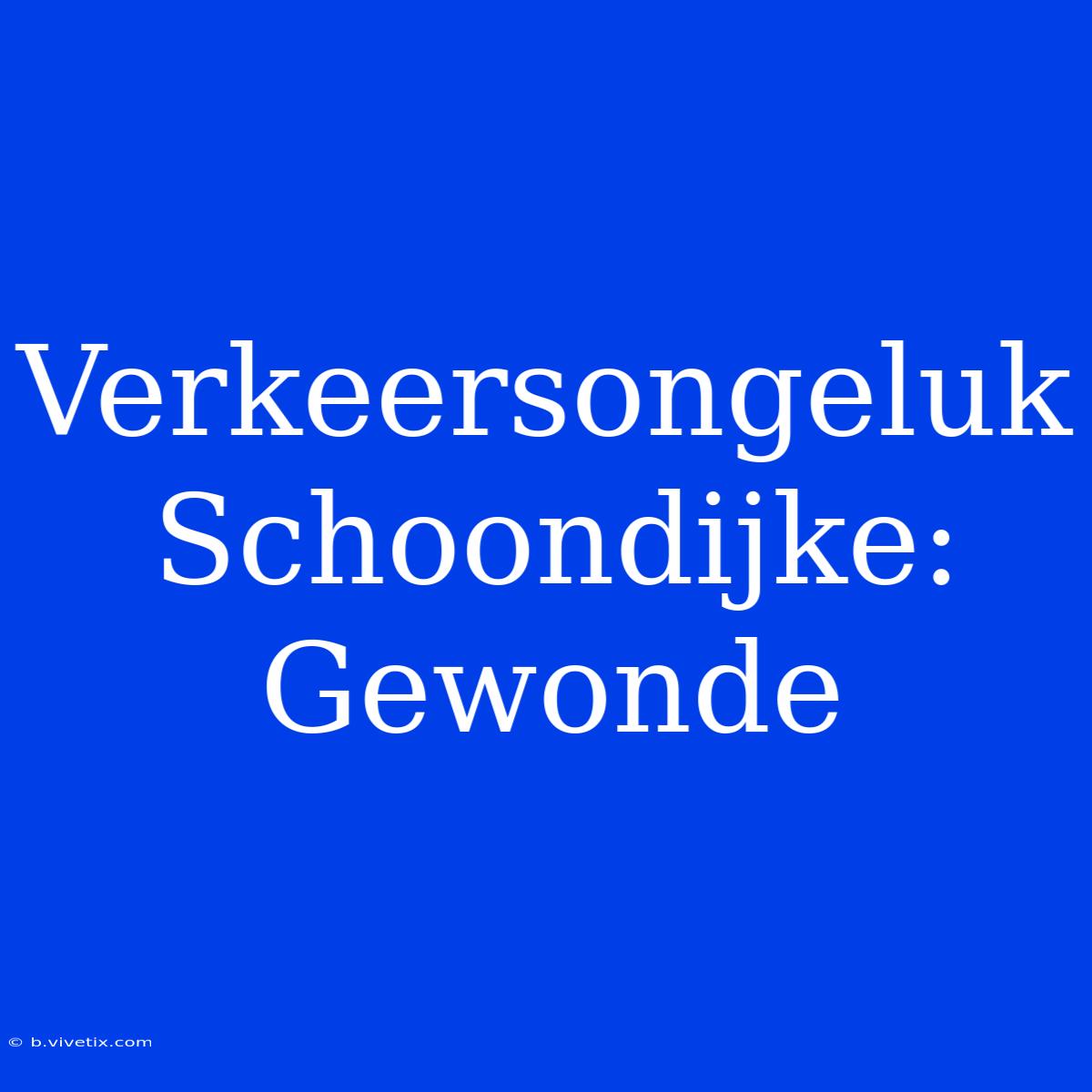 Verkeersongeluk Schoondijke: Gewonde