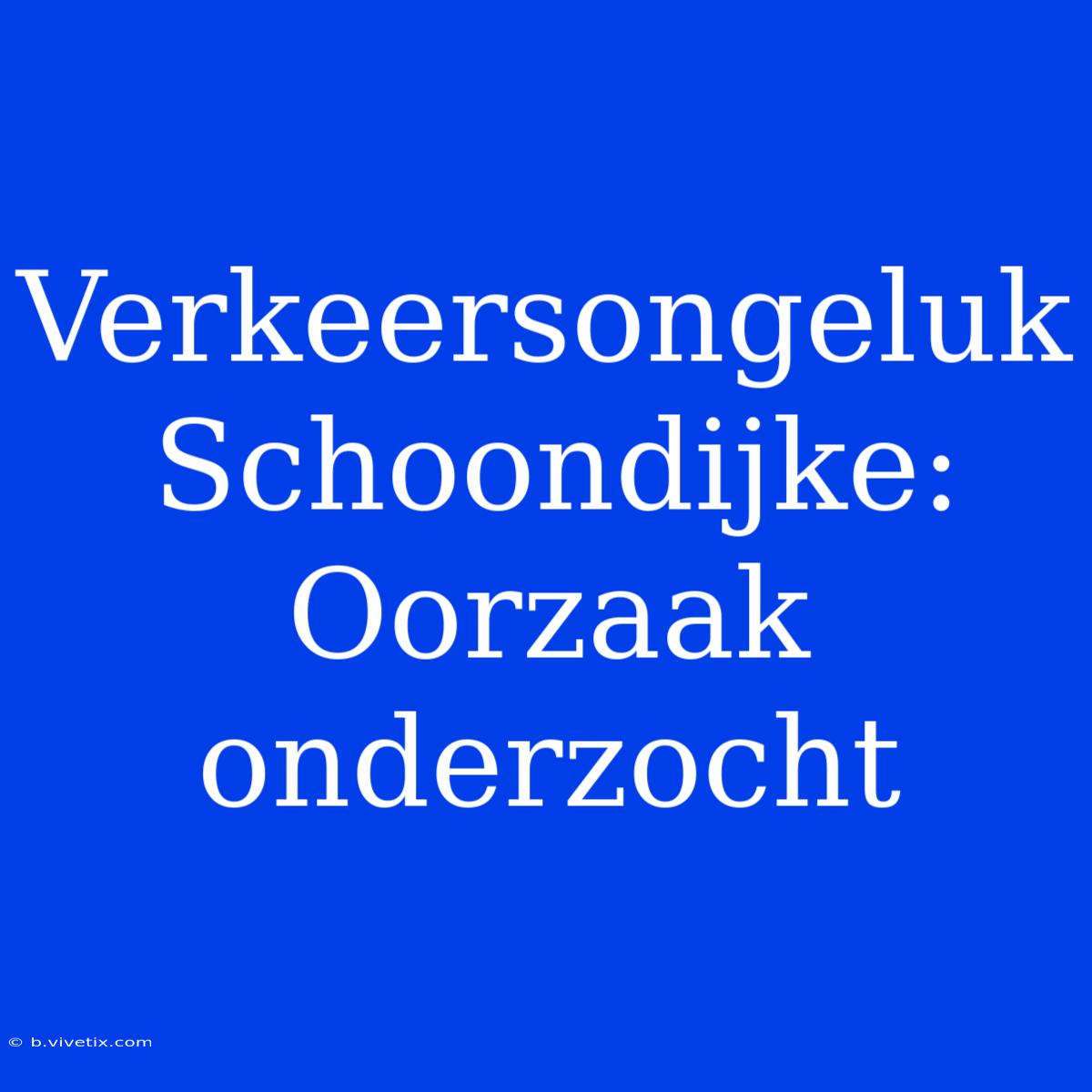 Verkeersongeluk Schoondijke:  Oorzaak Onderzocht