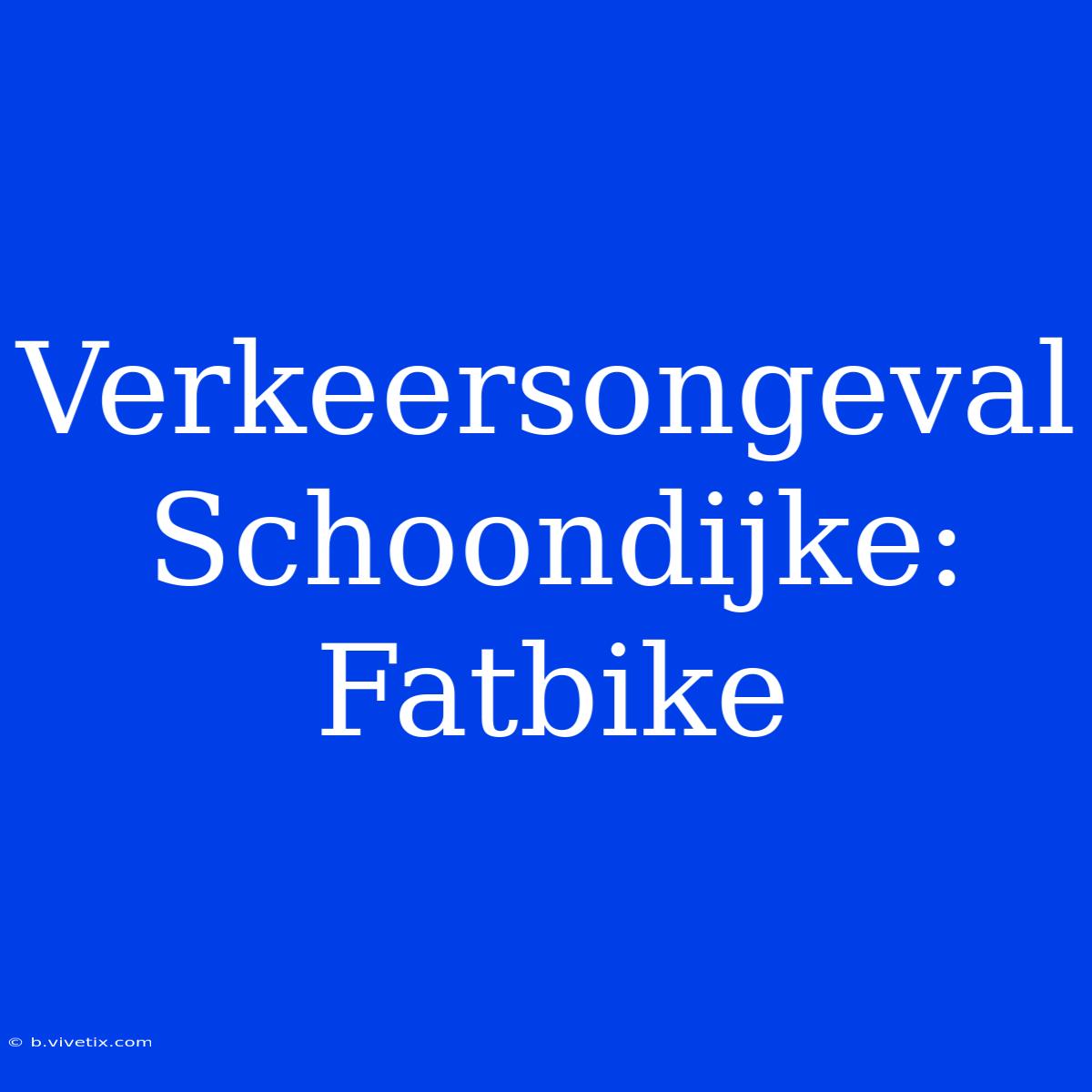 Verkeersongeval Schoondijke: Fatbike