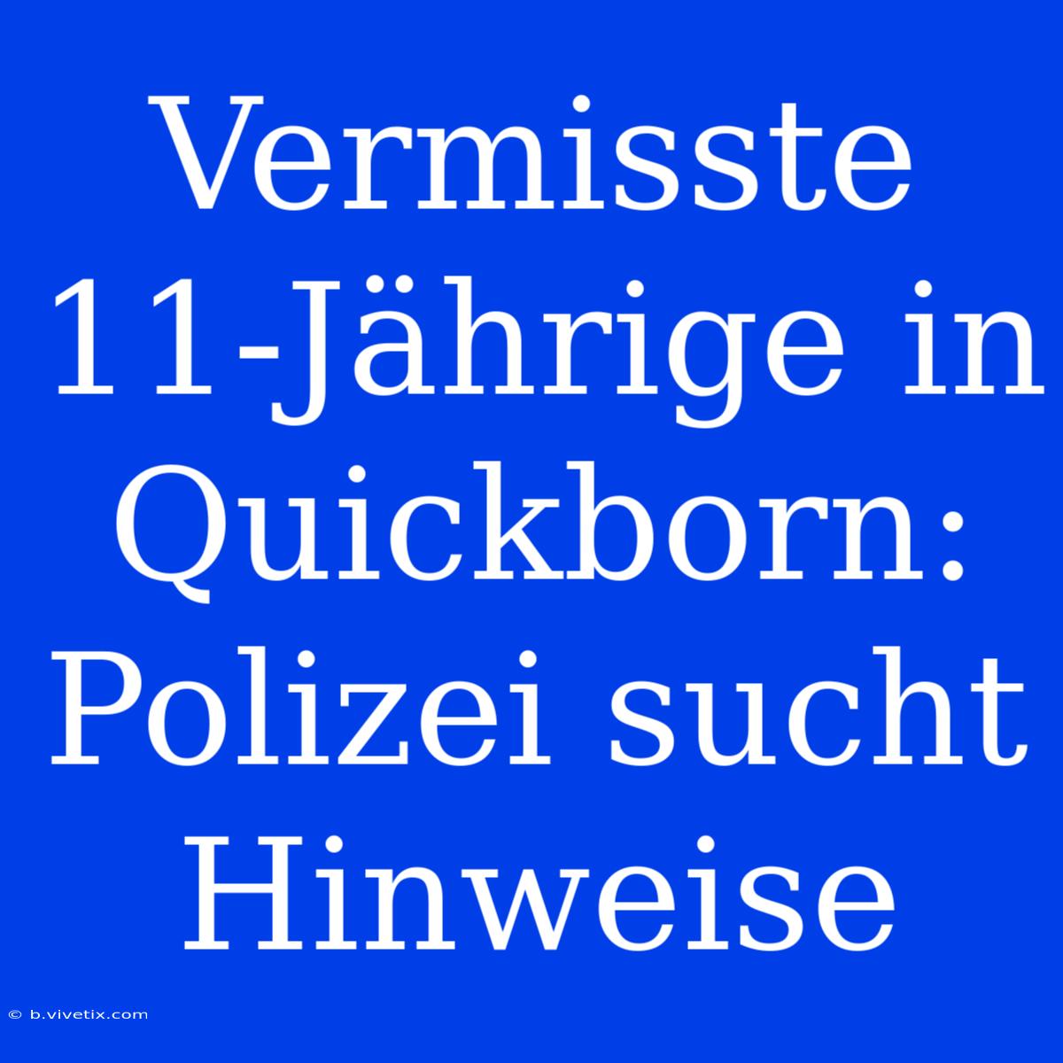 Vermisste 11-Jährige In Quickborn: Polizei Sucht Hinweise