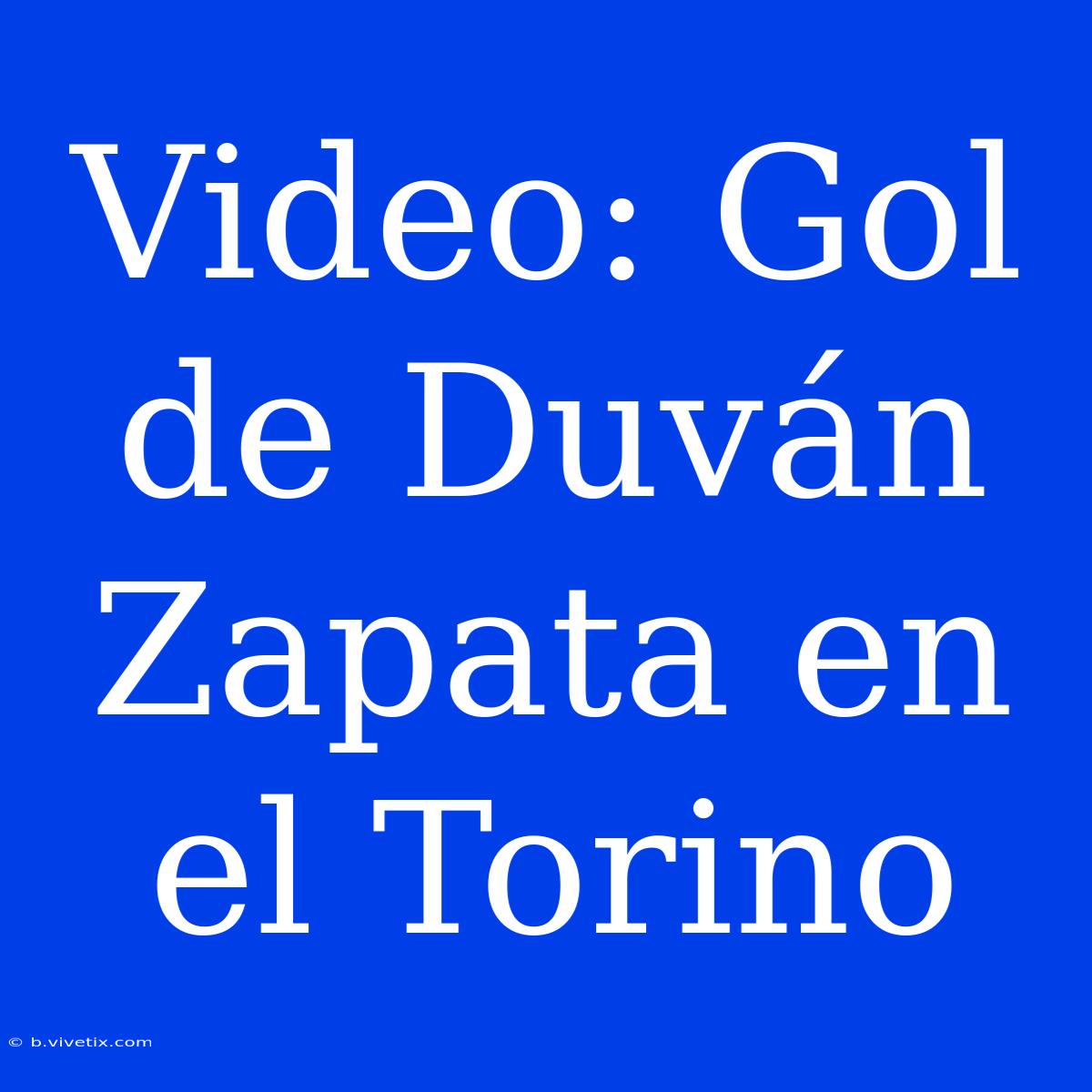 Video: Gol De Duván Zapata En El Torino