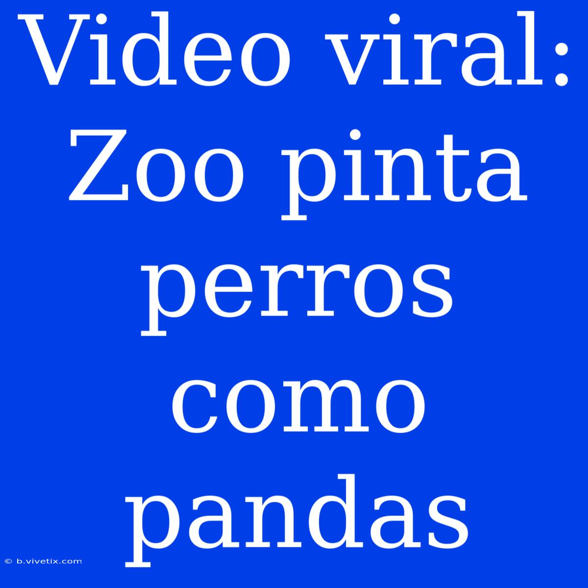 Video Viral: Zoo Pinta Perros Como Pandas