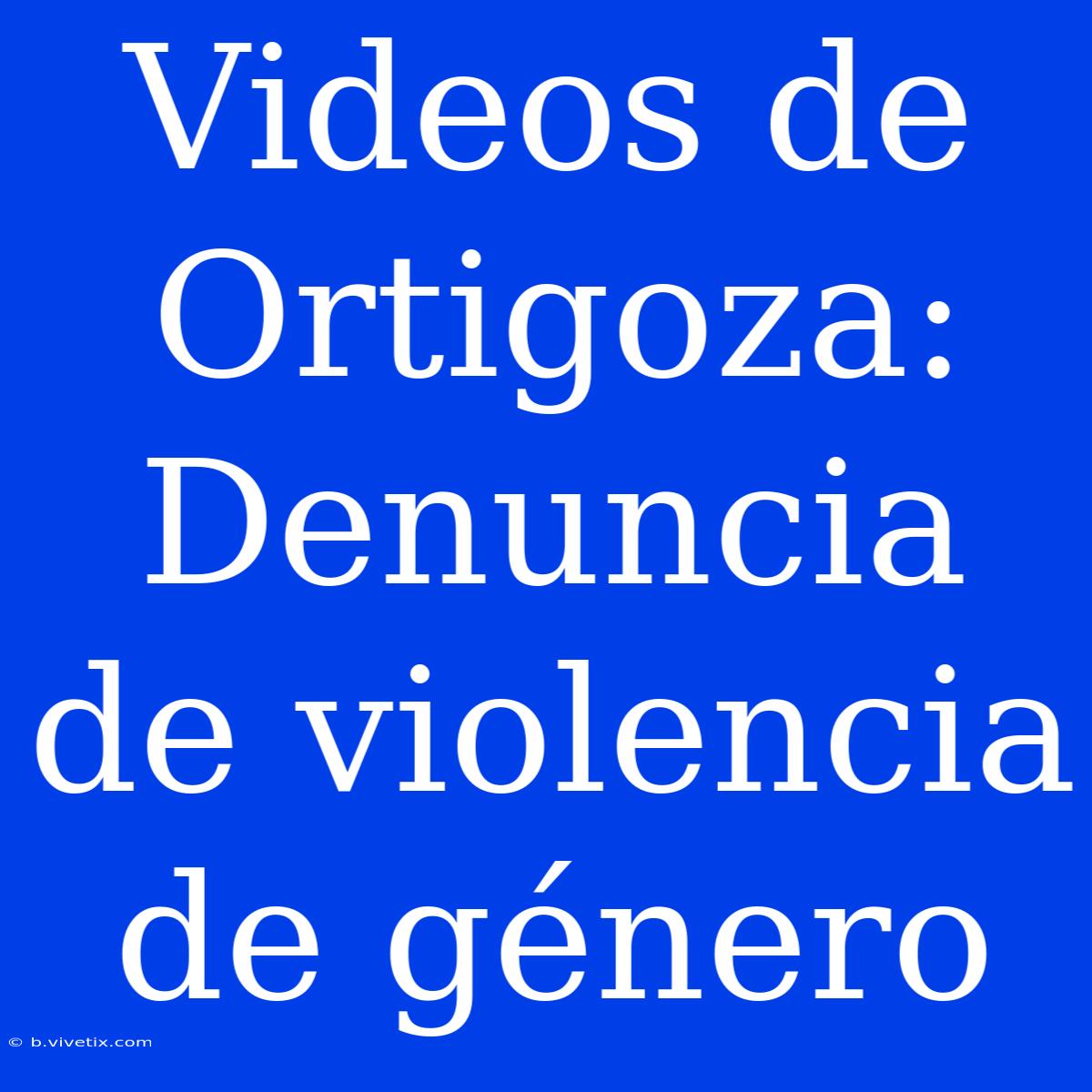 Videos De Ortigoza: Denuncia De Violencia De Género