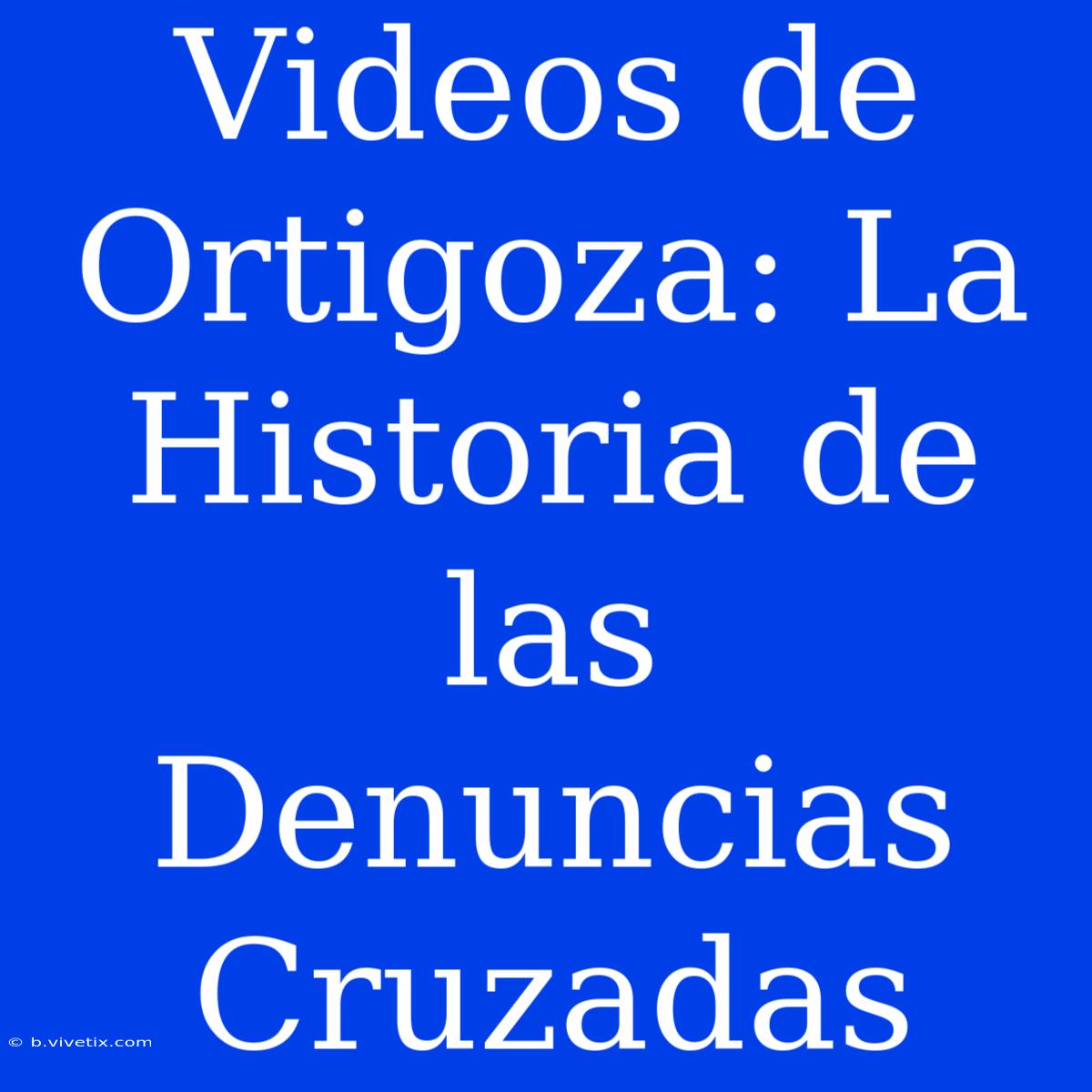 Videos De Ortigoza: La Historia De Las Denuncias Cruzadas 