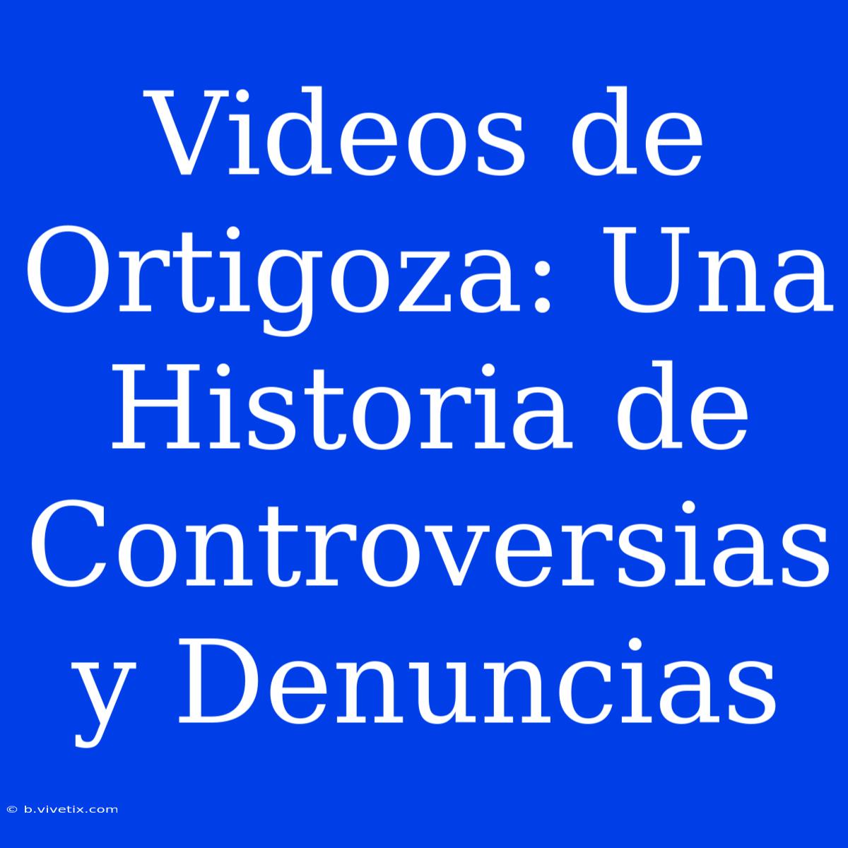 Videos De Ortigoza: Una Historia De Controversias Y Denuncias 