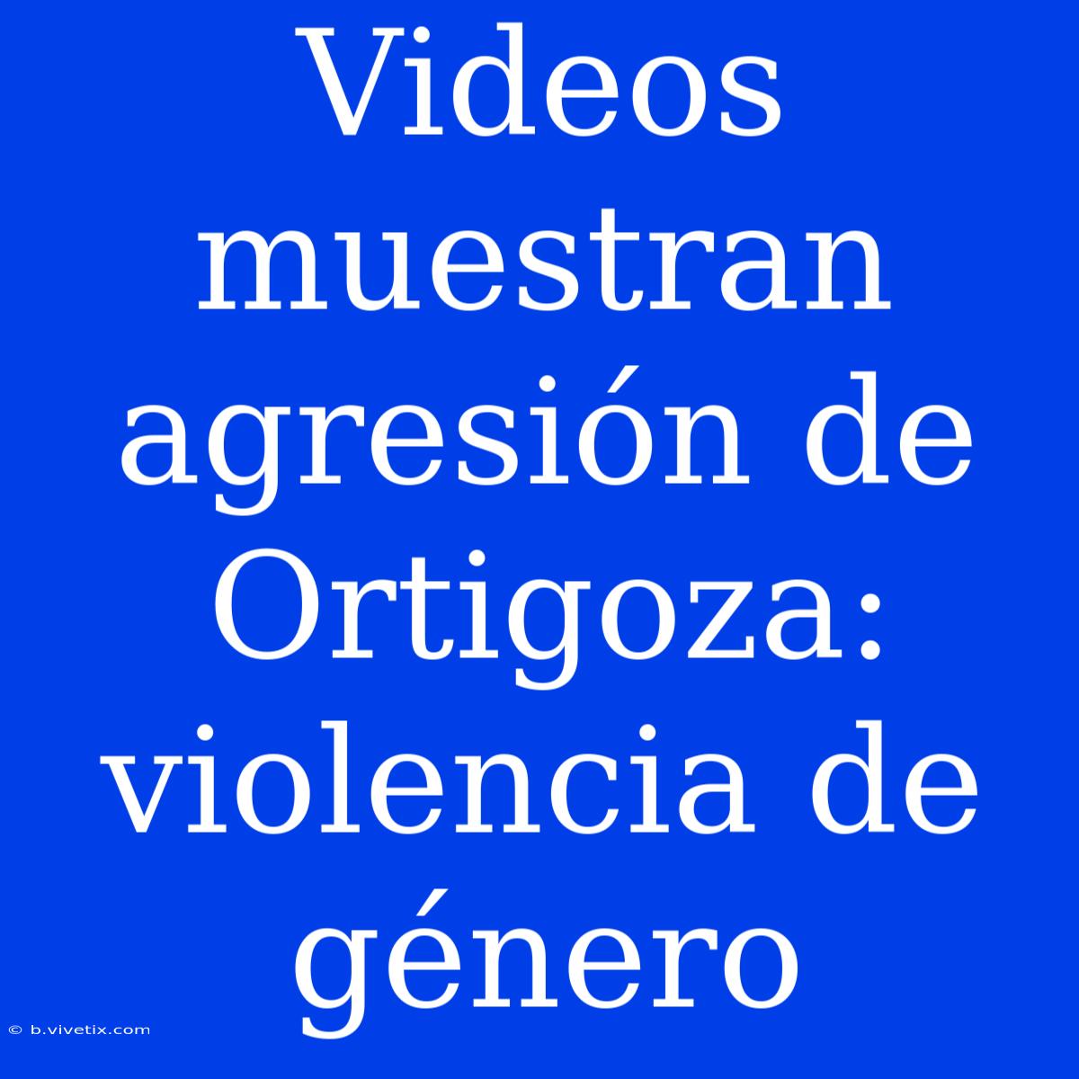 Videos Muestran Agresión De Ortigoza: Violencia De Género