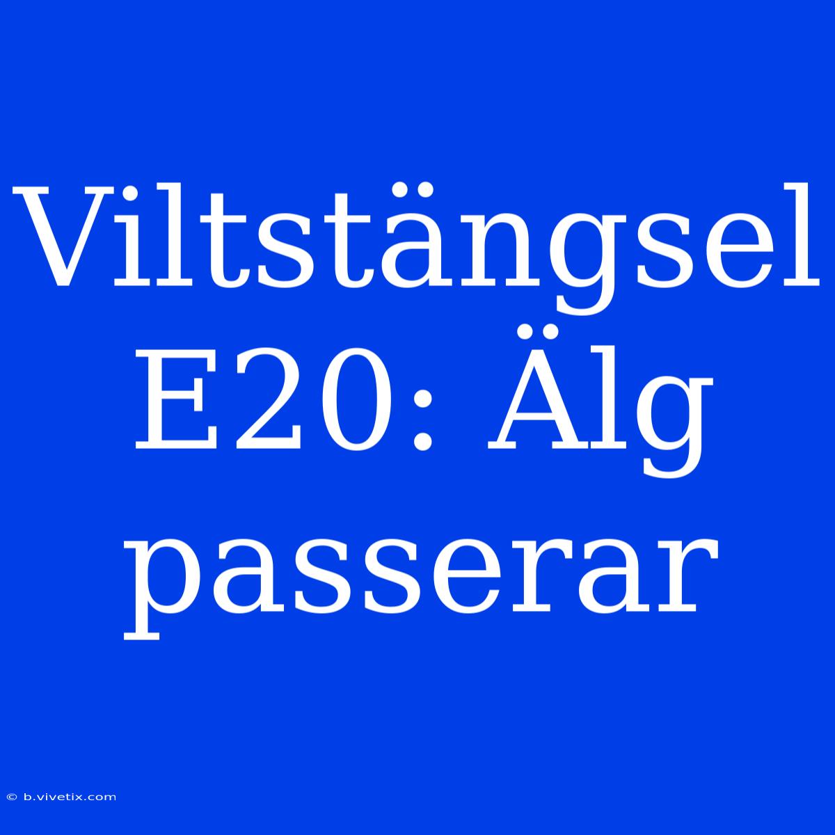 Viltstängsel E20: Älg Passerar 