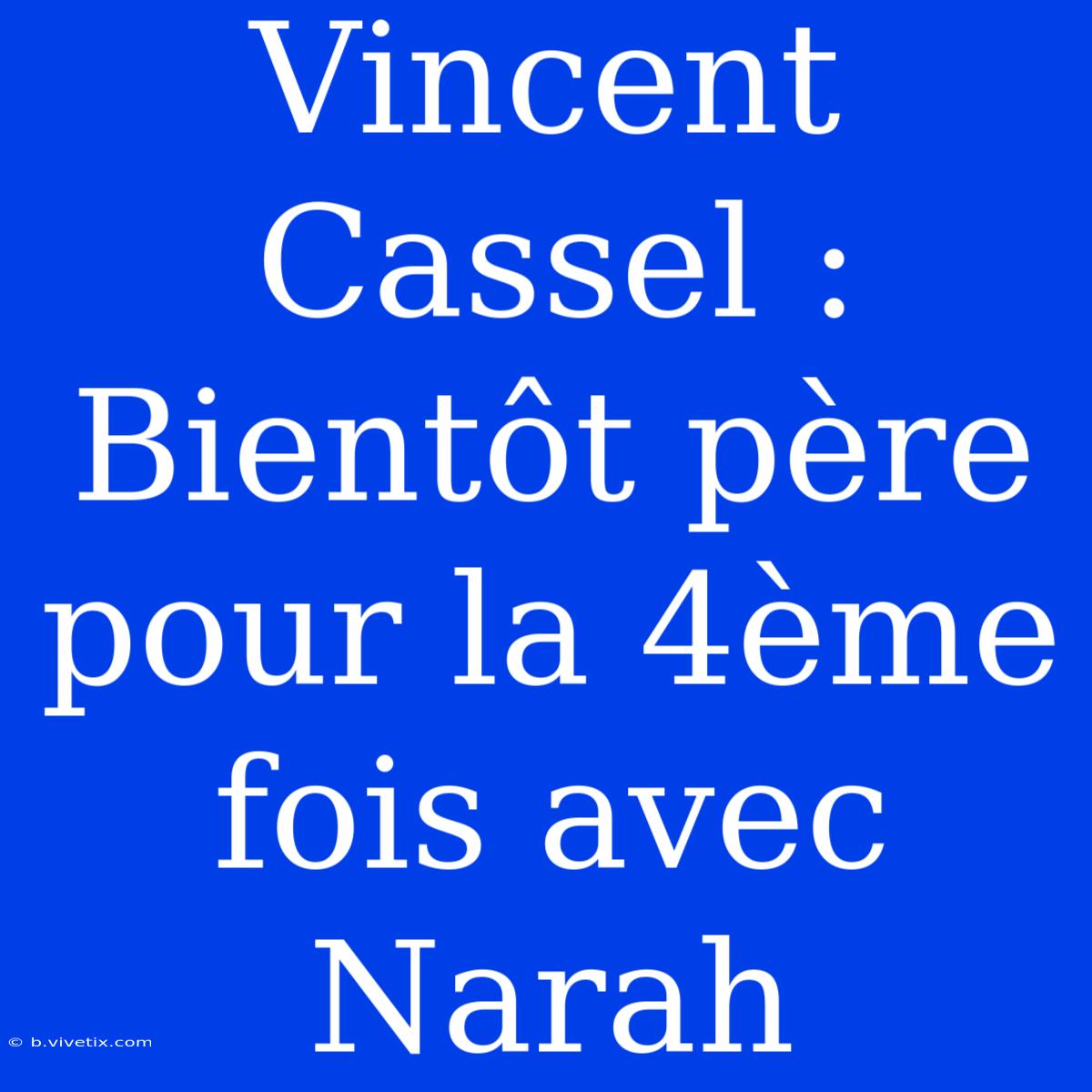 Vincent Cassel : Bientôt Père Pour La 4ème Fois Avec Narah