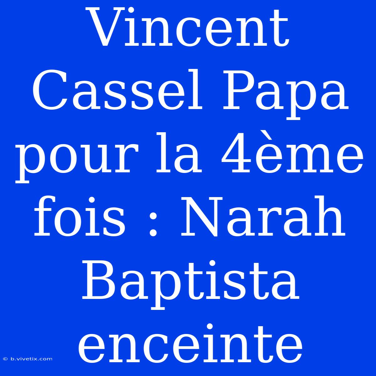 Vincent Cassel Papa Pour La 4ème Fois : Narah Baptista Enceinte