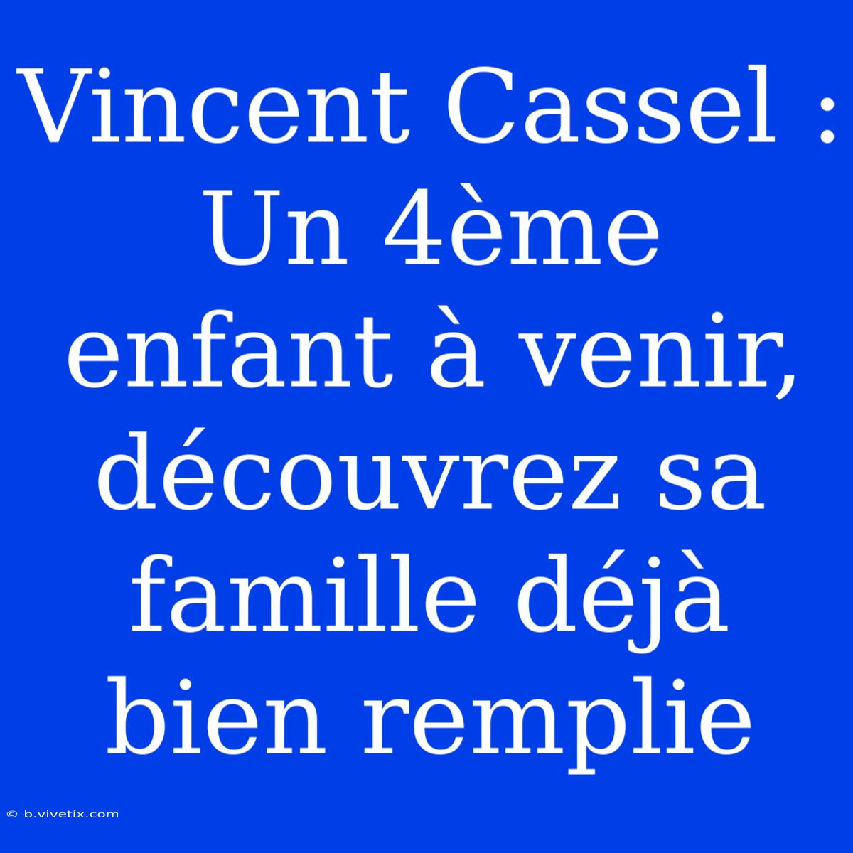 Vincent Cassel : Un 4ème Enfant À Venir, Découvrez Sa Famille Déjà Bien Remplie