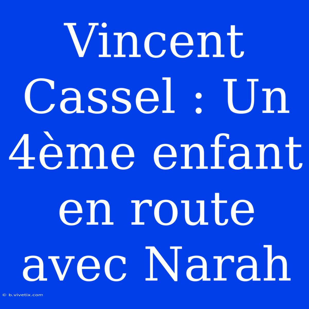 Vincent Cassel : Un 4ème Enfant En Route Avec Narah