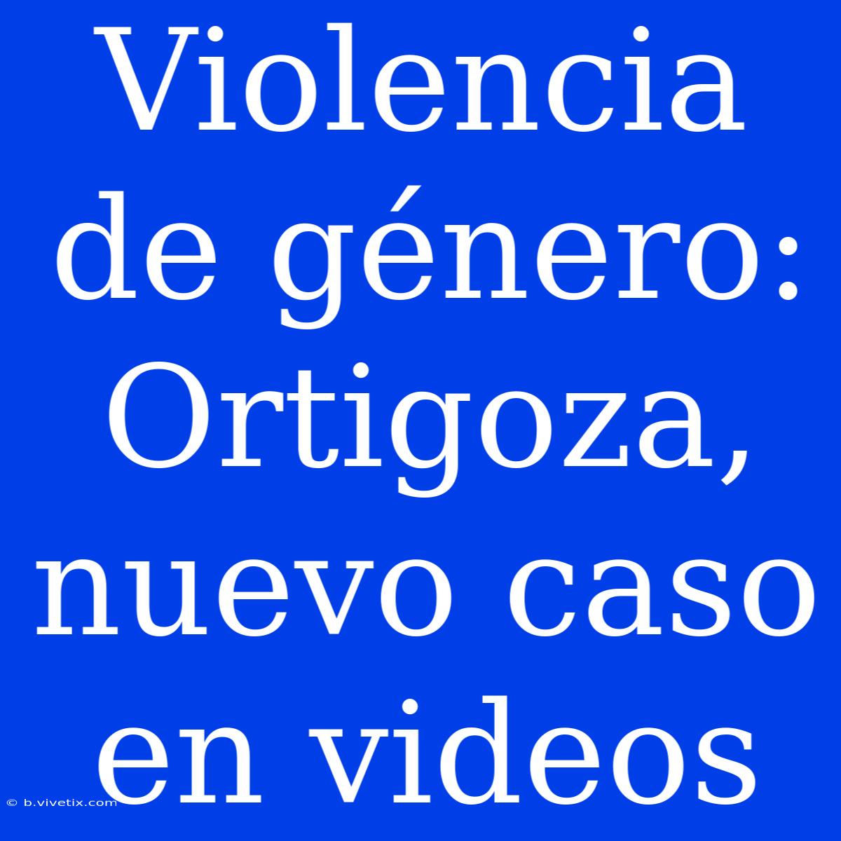 Violencia De Género: Ortigoza, Nuevo Caso En Videos