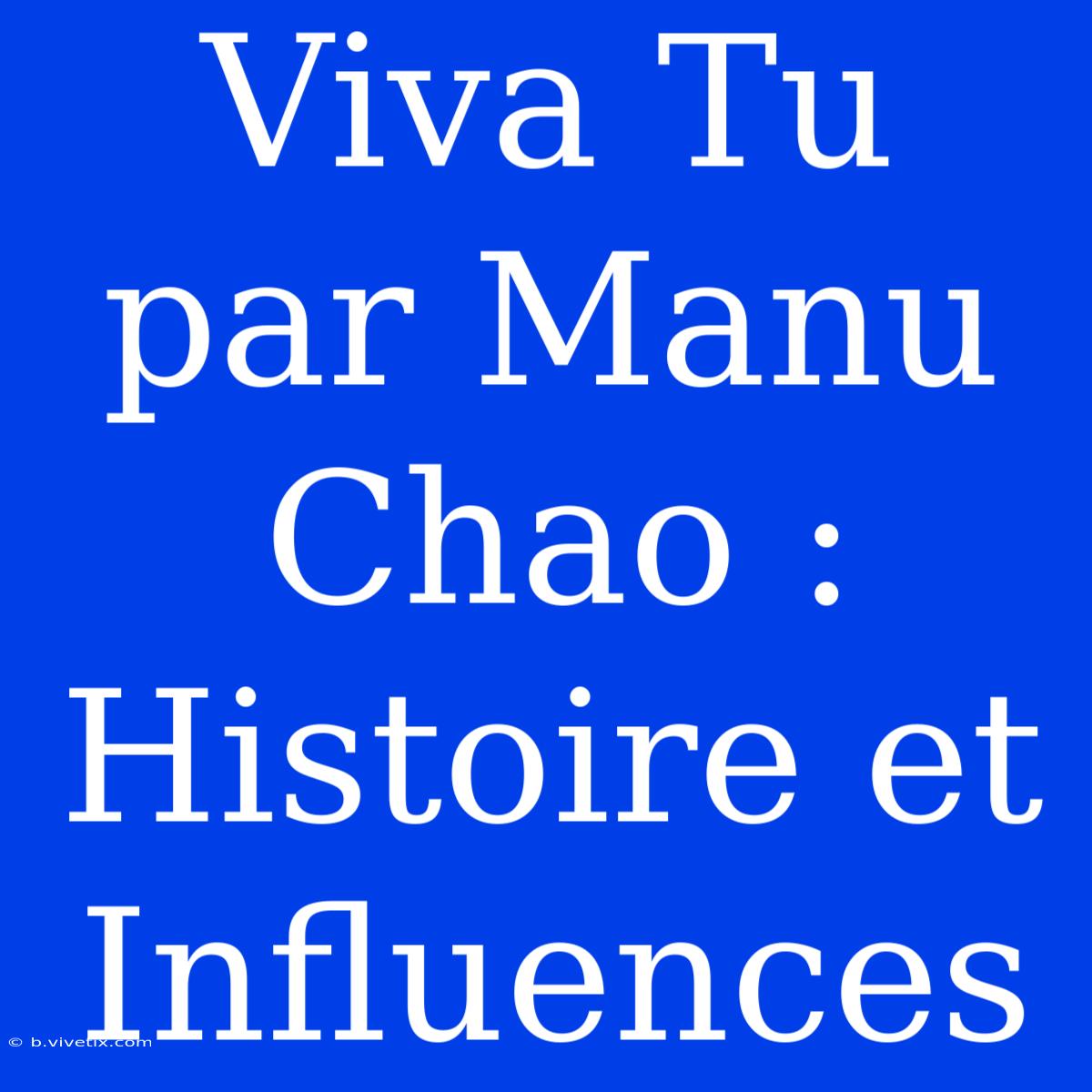 Viva Tu Par Manu Chao : Histoire Et Influences