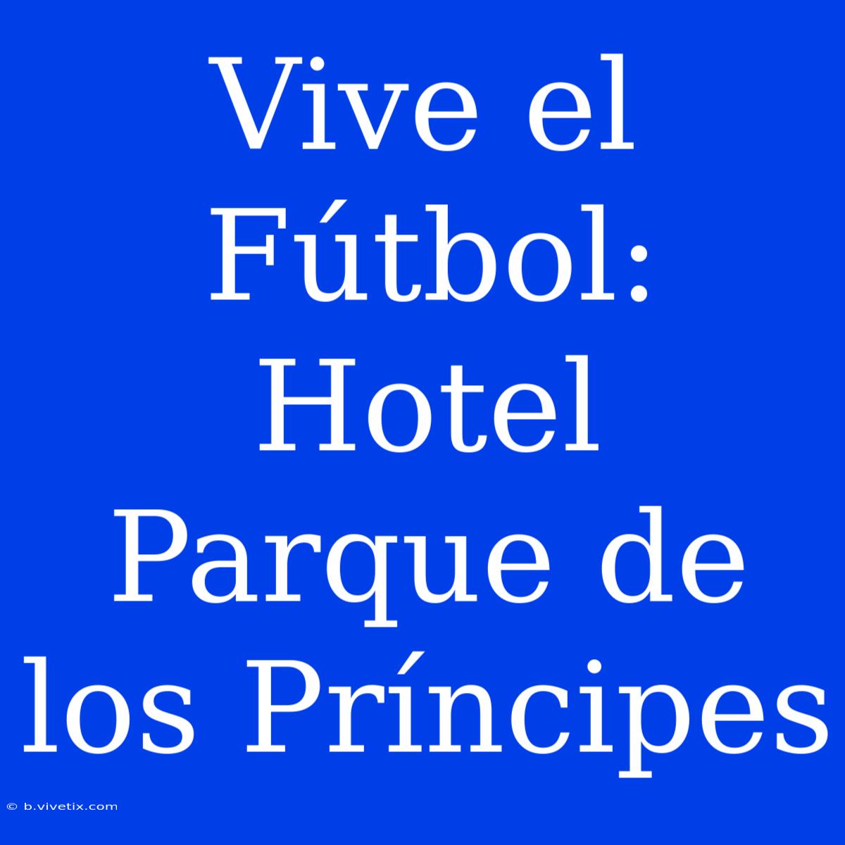 Vive El Fútbol: Hotel Parque De Los Príncipes