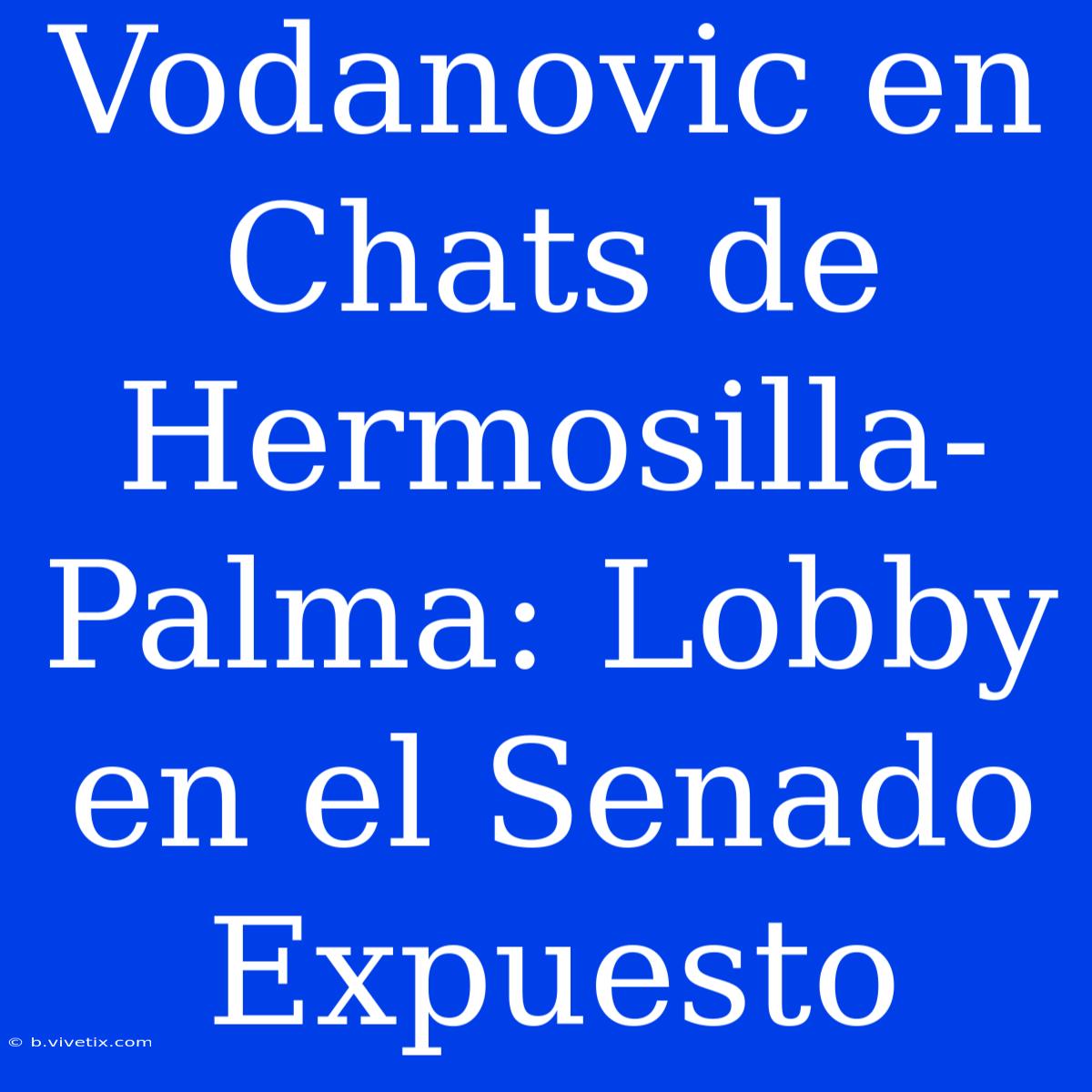 Vodanovic En Chats De Hermosilla-Palma: Lobby En El Senado Expuesto 