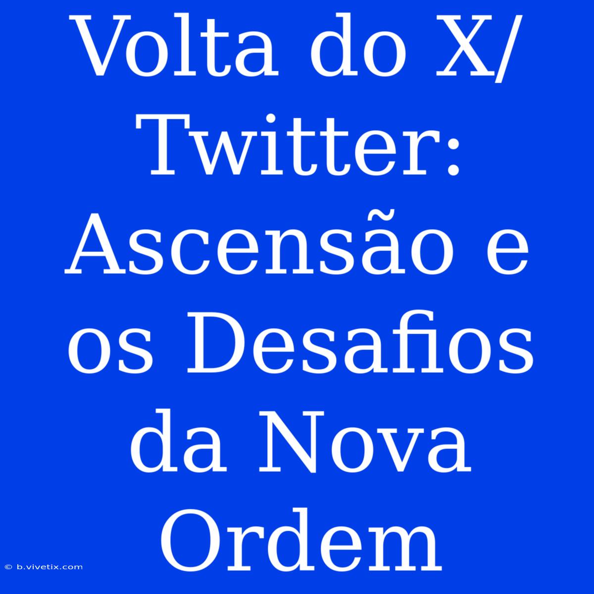 Volta Do X/Twitter: Ascensão E Os Desafios Da Nova Ordem