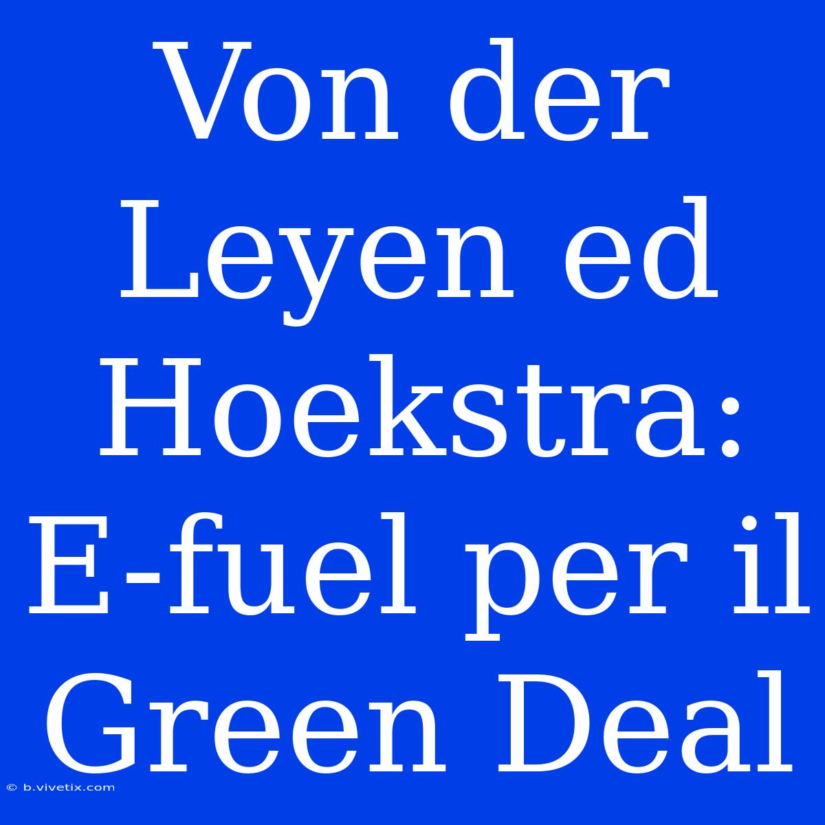 Von Der Leyen Ed Hoekstra: E-fuel Per Il Green Deal