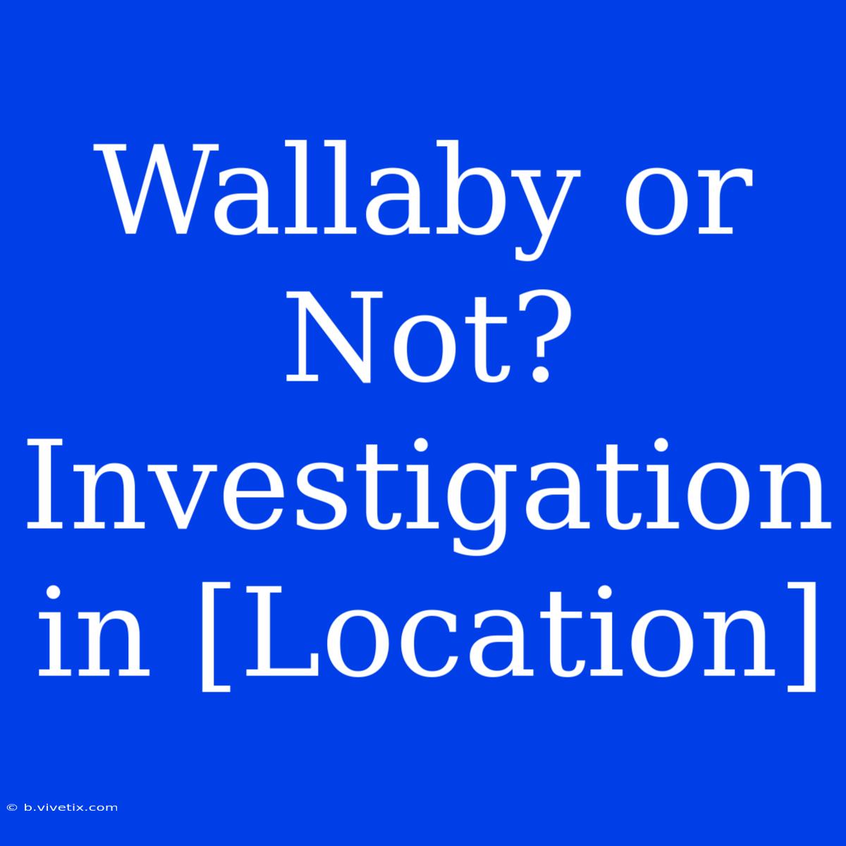 Wallaby Or Not? Investigation In [Location] 