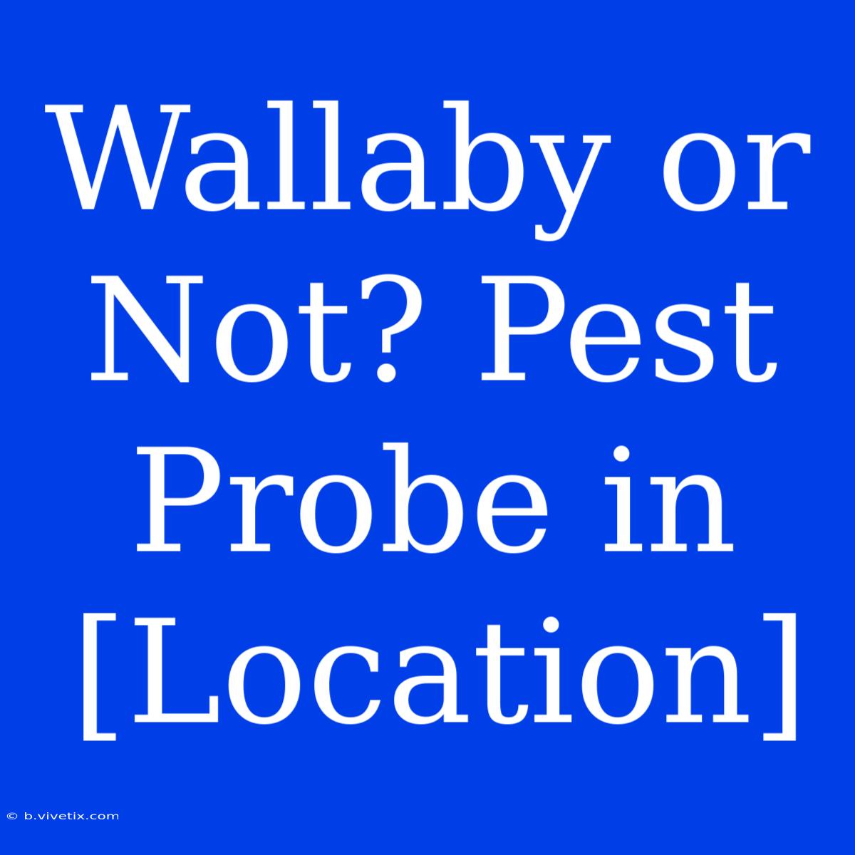 Wallaby Or Not? Pest Probe In [Location]