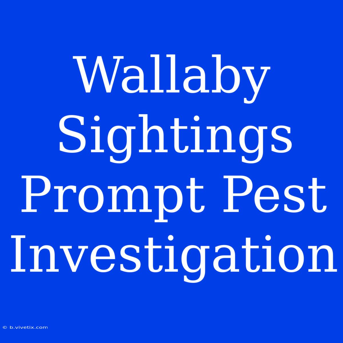 Wallaby Sightings Prompt Pest Investigation