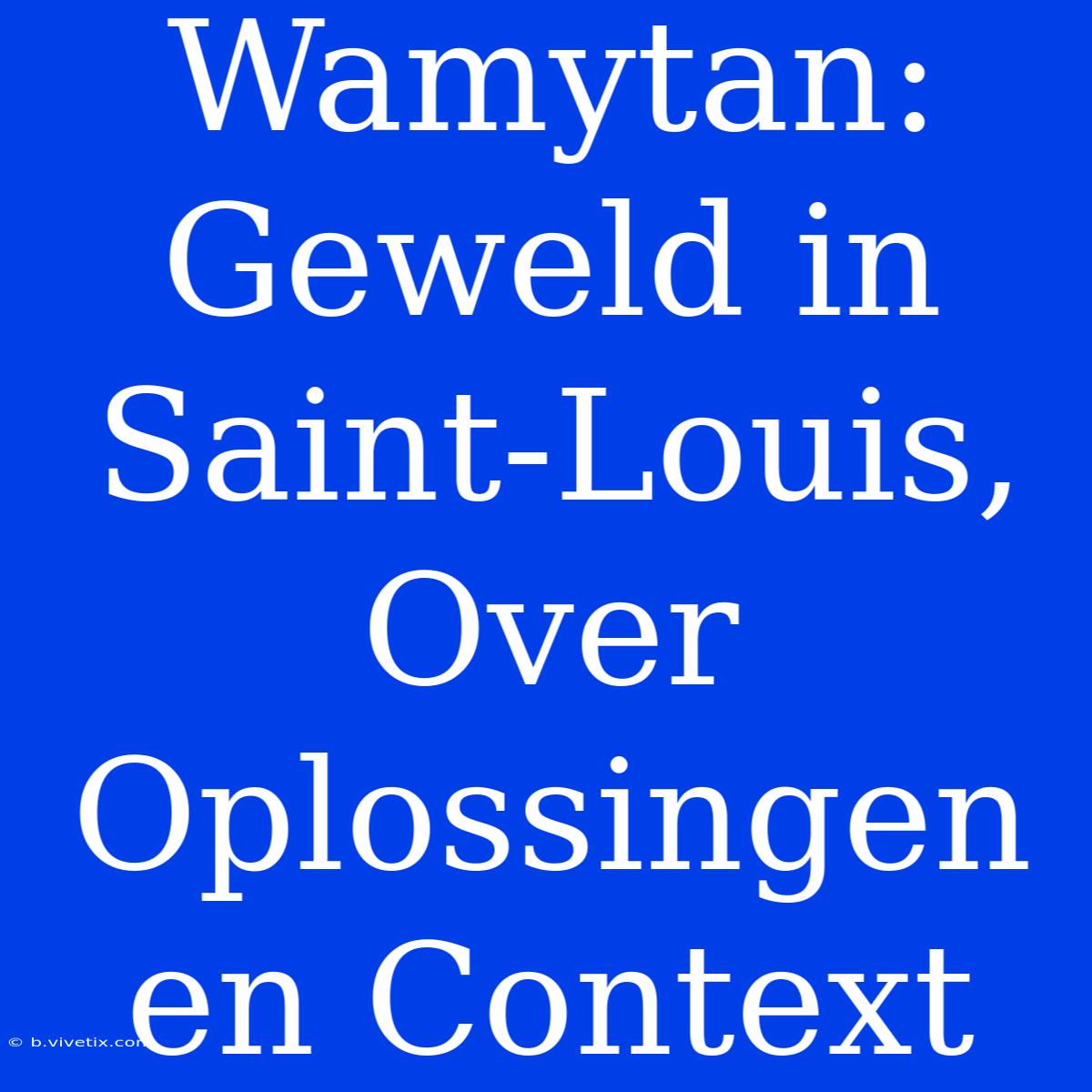 Wamytan:  Geweld In Saint-Louis, Over Oplossingen En Context 