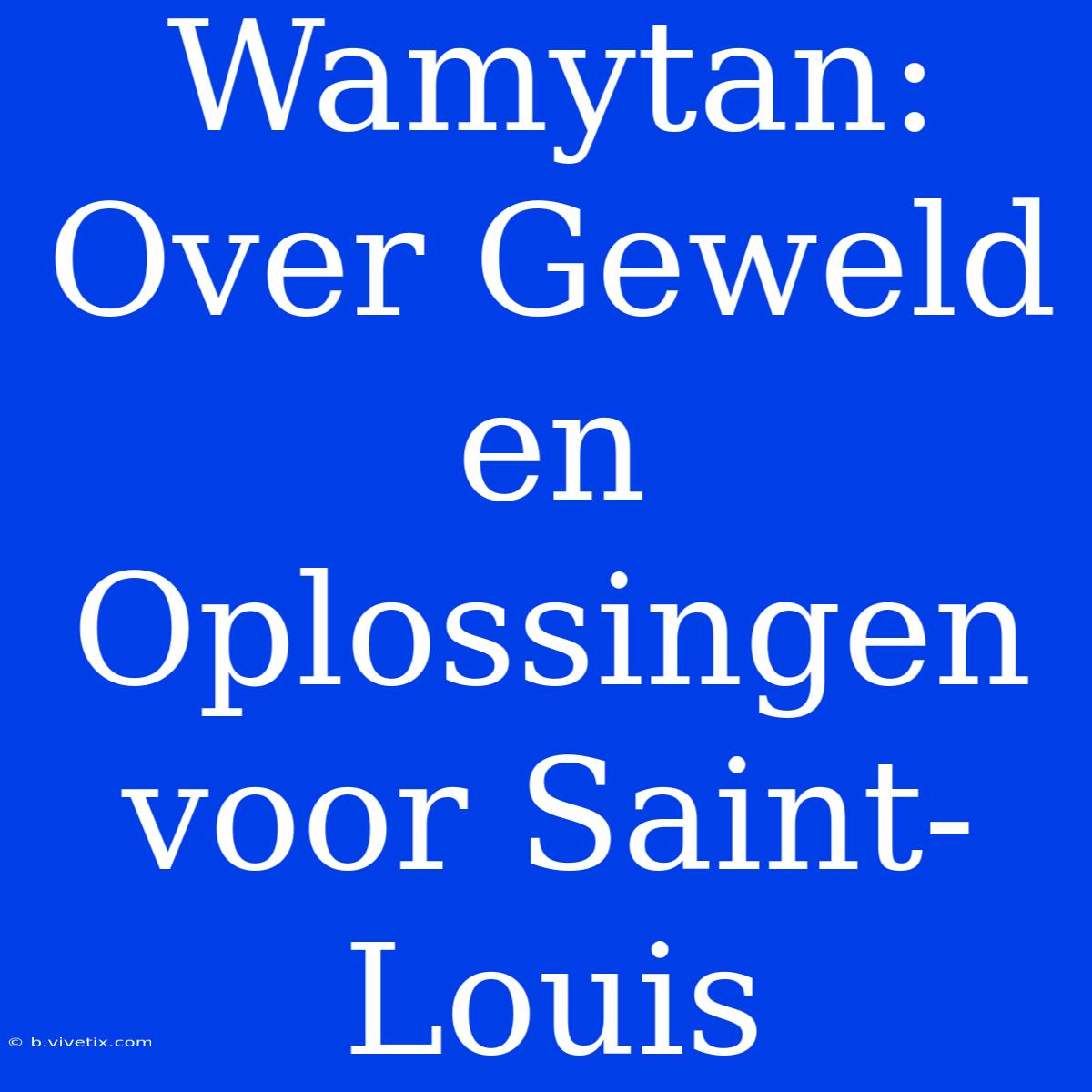 Wamytan:  Over Geweld En Oplossingen Voor Saint-Louis