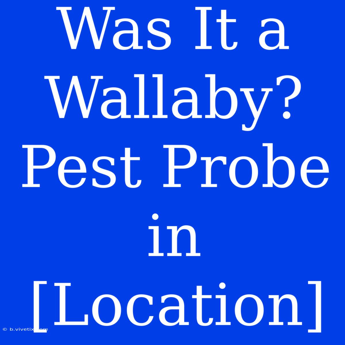 Was It A Wallaby? Pest Probe In [Location]