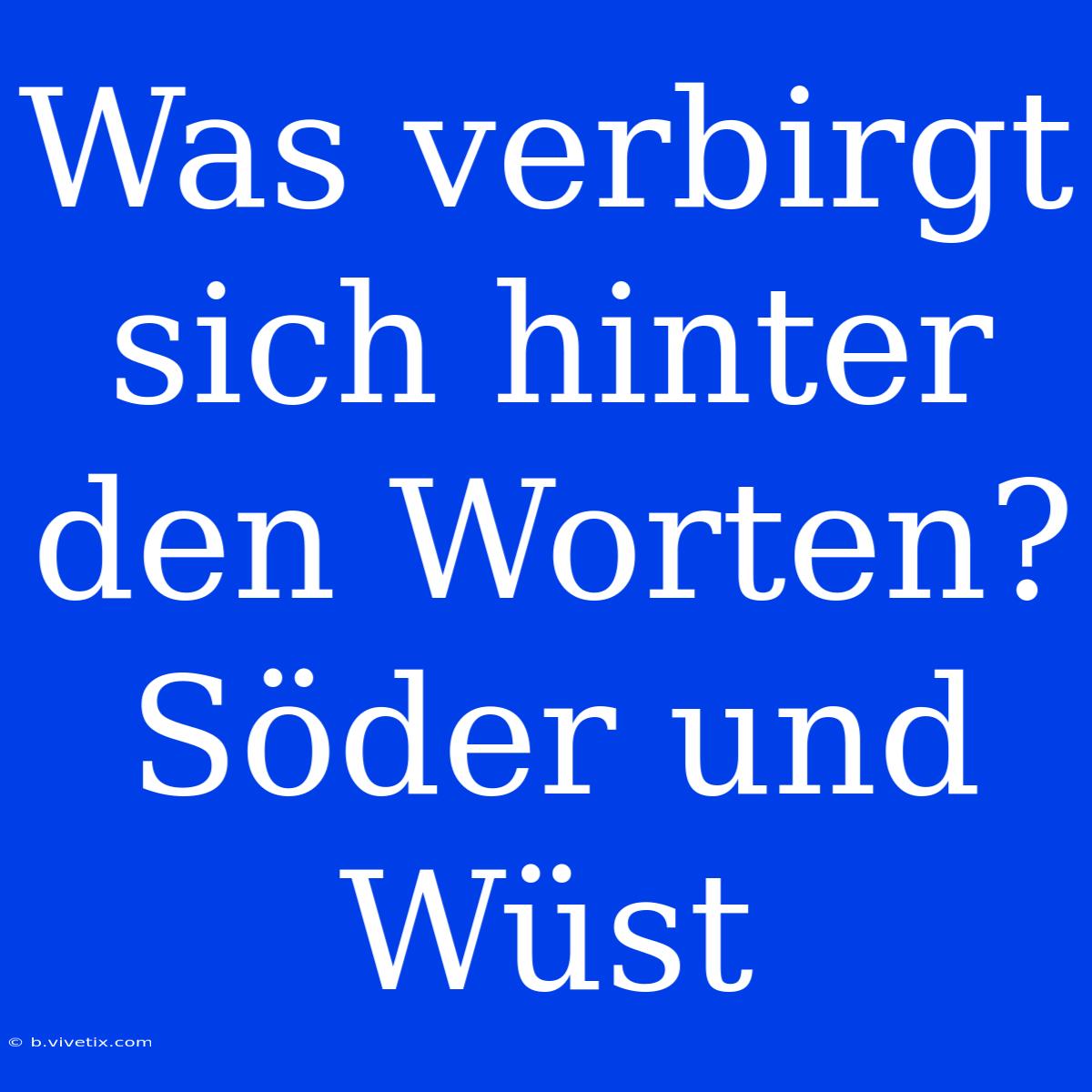 Was Verbirgt Sich Hinter Den Worten? Söder Und Wüst