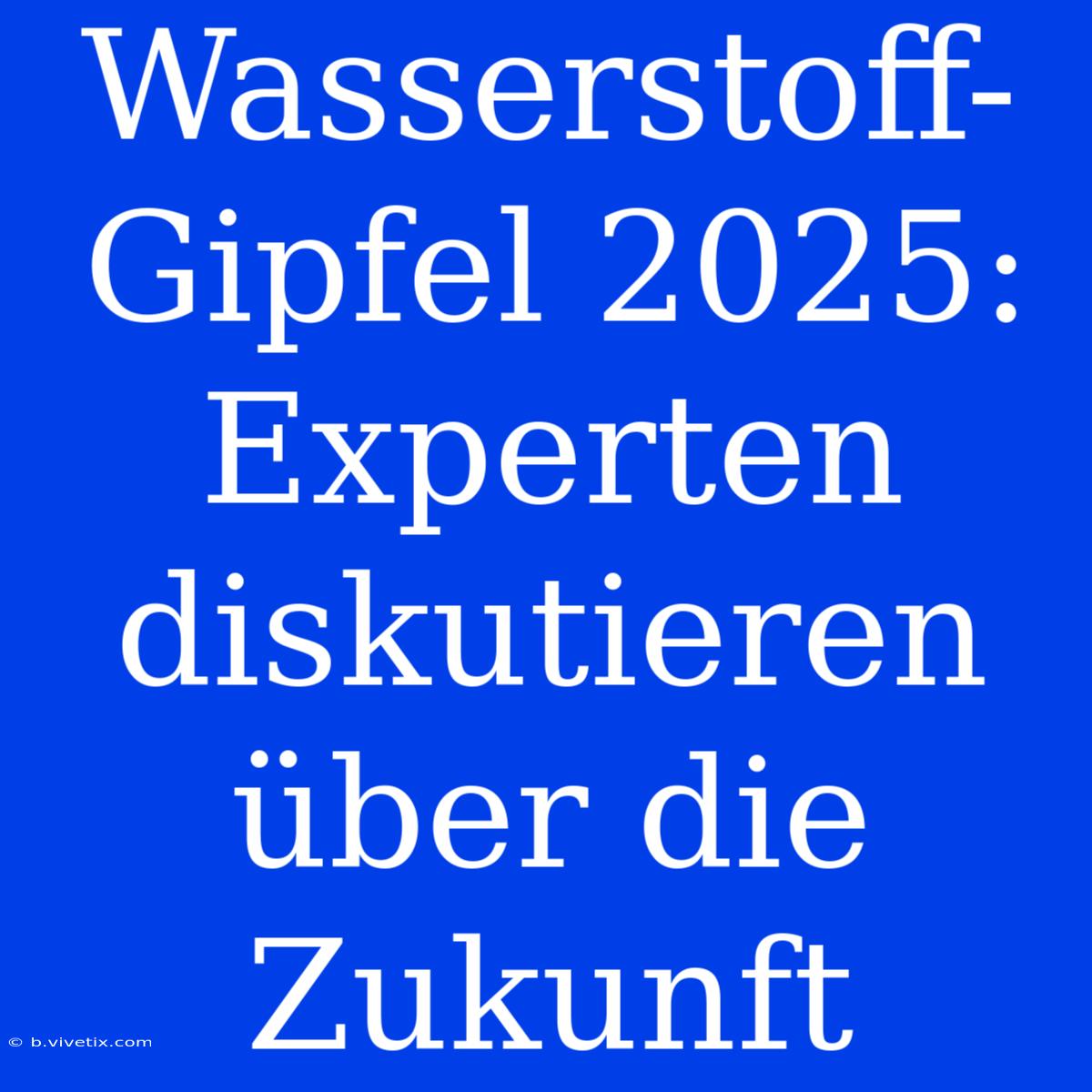 Wasserstoff-Gipfel 2025: Experten Diskutieren Über Die Zukunft