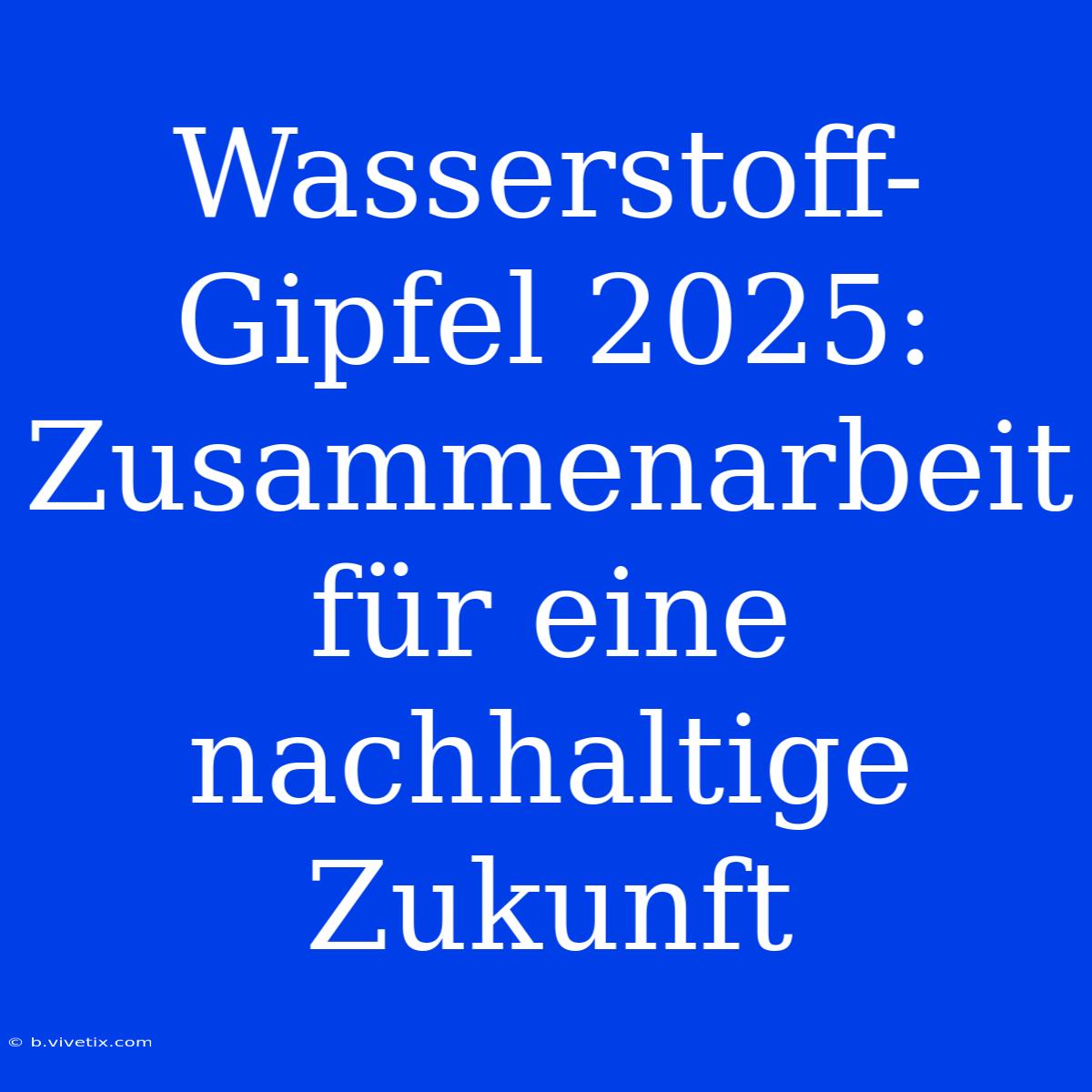 Wasserstoff-Gipfel 2025:  Zusammenarbeit Für Eine Nachhaltige Zukunft