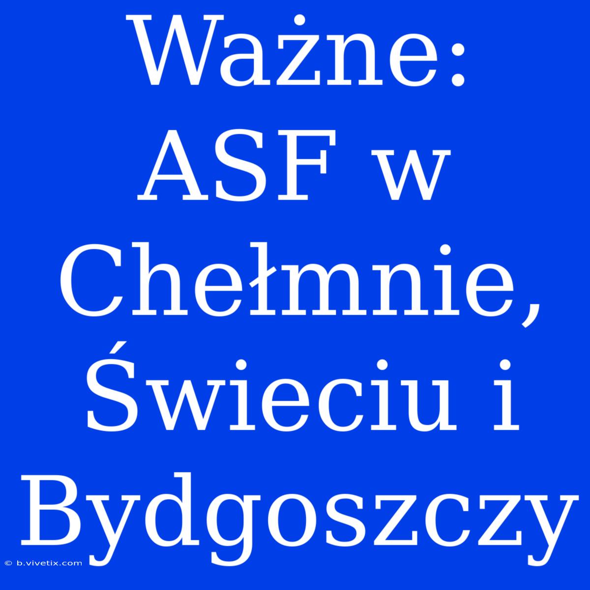 Ważne: ASF W Chełmnie, Świeciu I Bydgoszczy