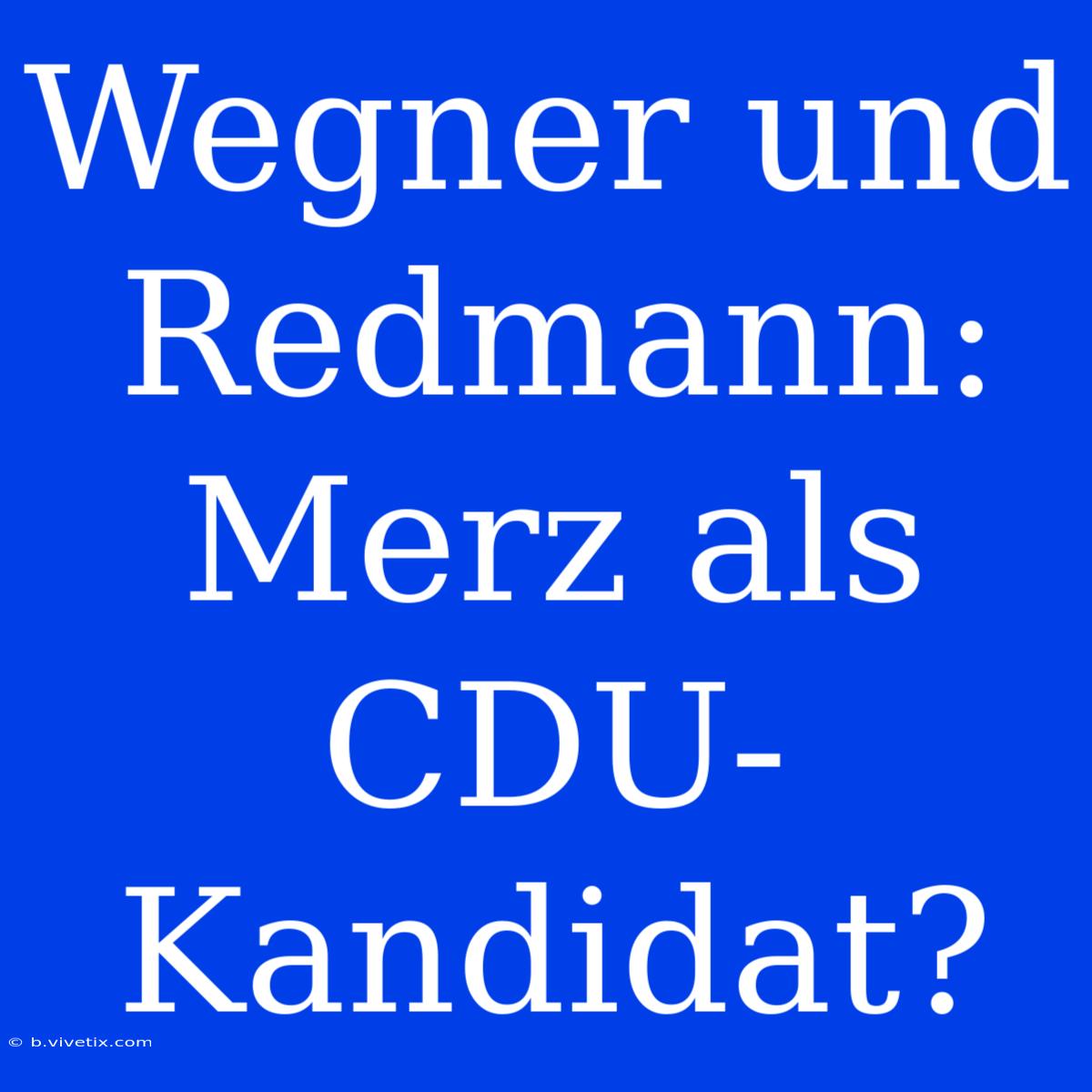 Wegner Und Redmann: Merz Als CDU-Kandidat?