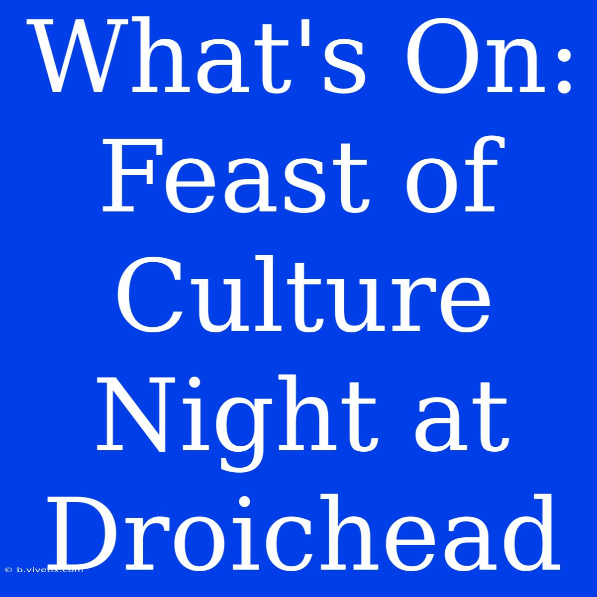 What's On: Feast Of Culture Night At Droichead