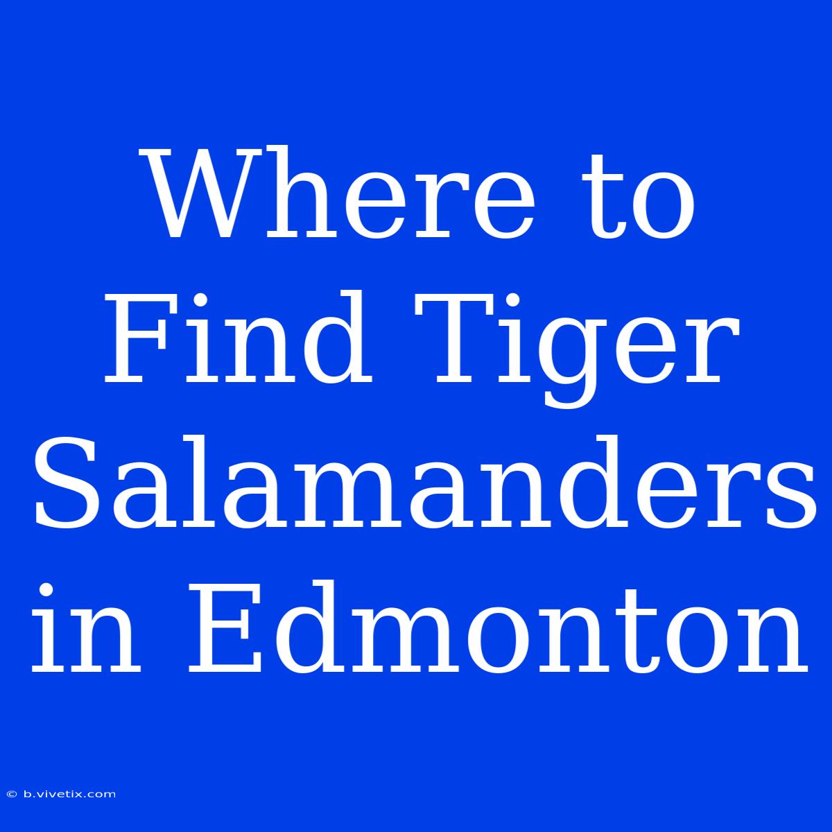 Where To Find Tiger Salamanders In Edmonton