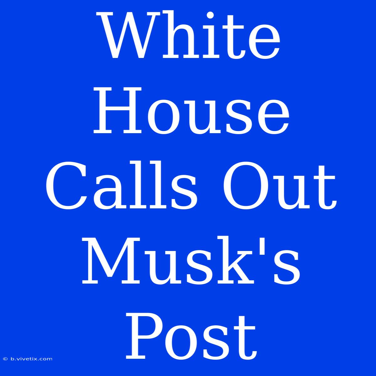 White House Calls Out Musk's Post