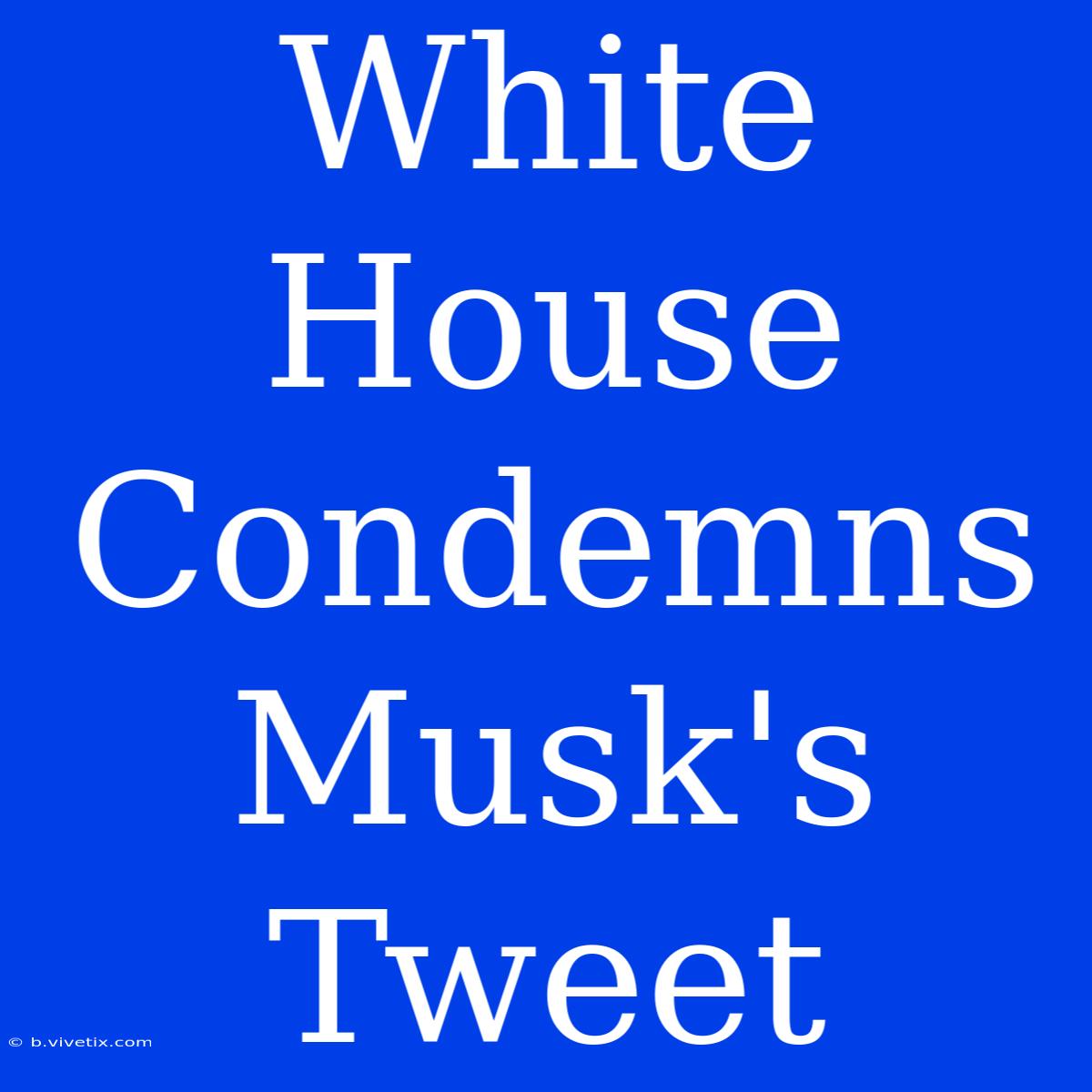 White House Condemns Musk's Tweet