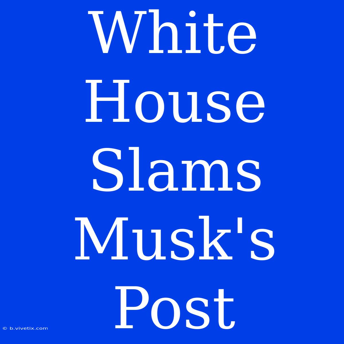 White House Slams Musk's Post 