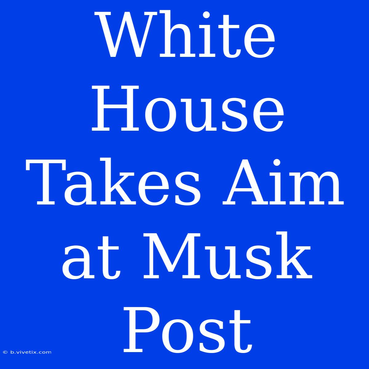 White House Takes Aim At Musk Post