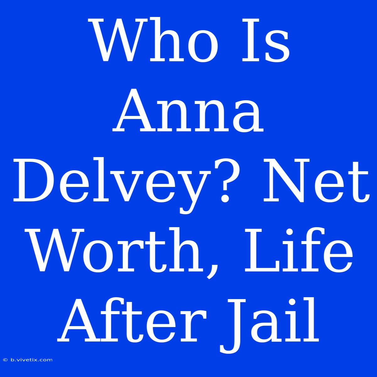 Who Is Anna Delvey? Net Worth, Life After Jail