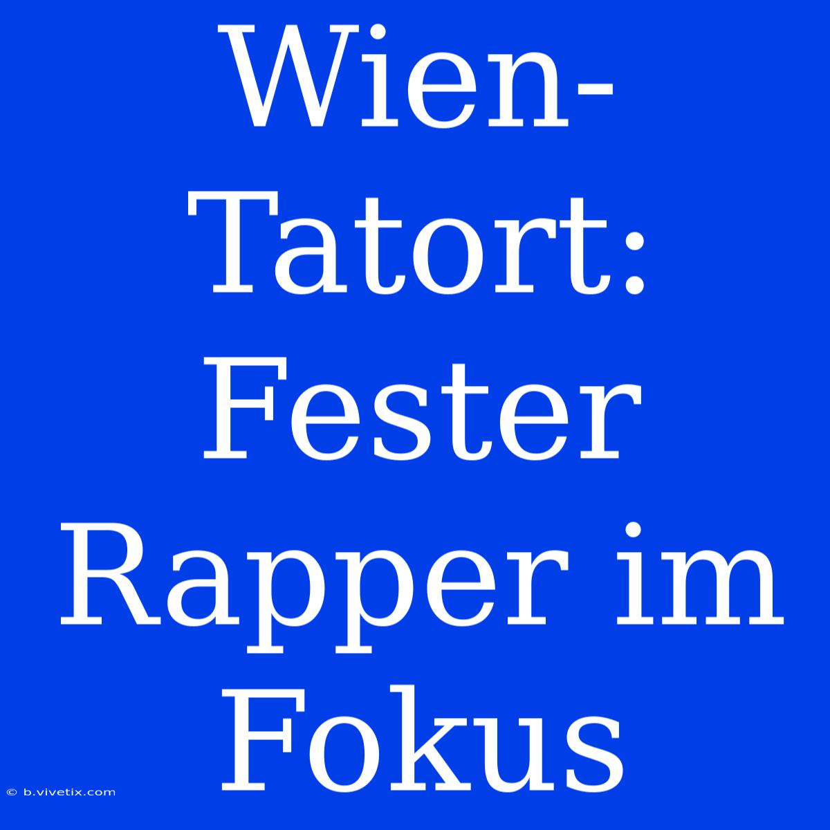 Wien-Tatort: Fester Rapper Im Fokus