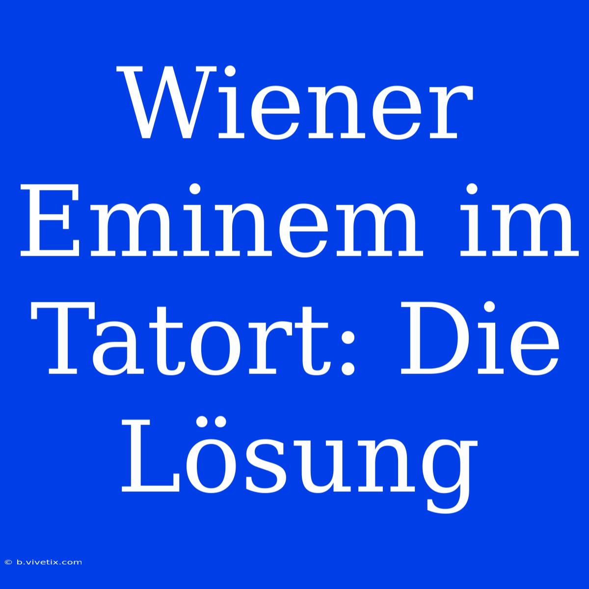 Wiener Eminem Im Tatort: Die Lösung