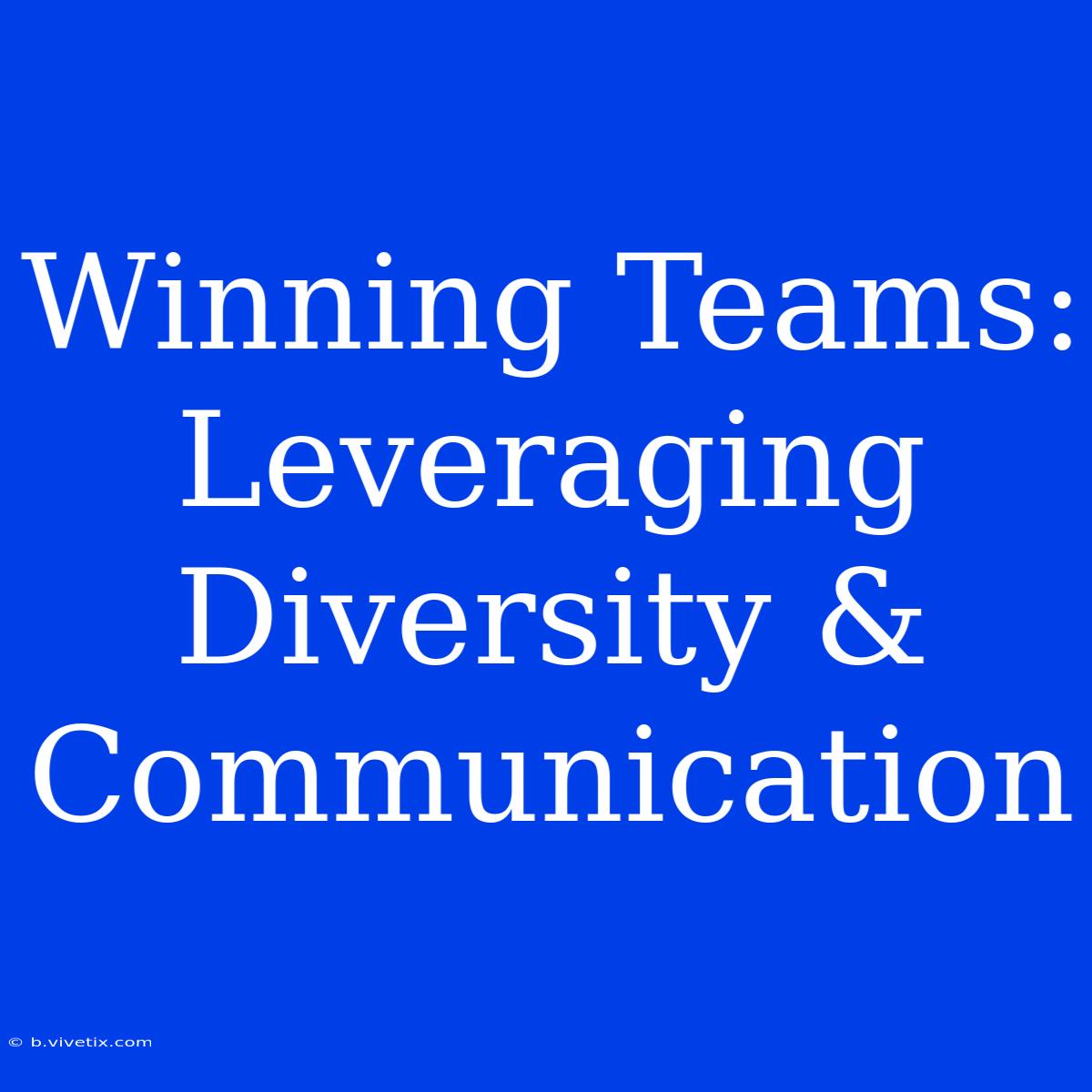 Winning Teams: Leveraging Diversity & Communication 