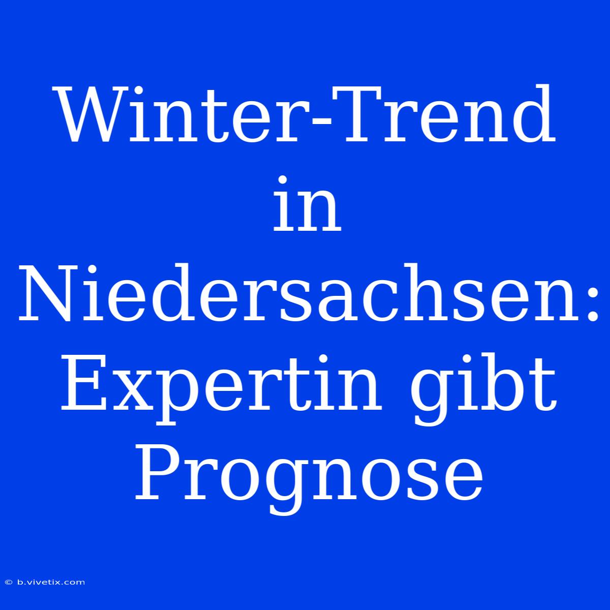 Winter-Trend In Niedersachsen: Expertin Gibt Prognose